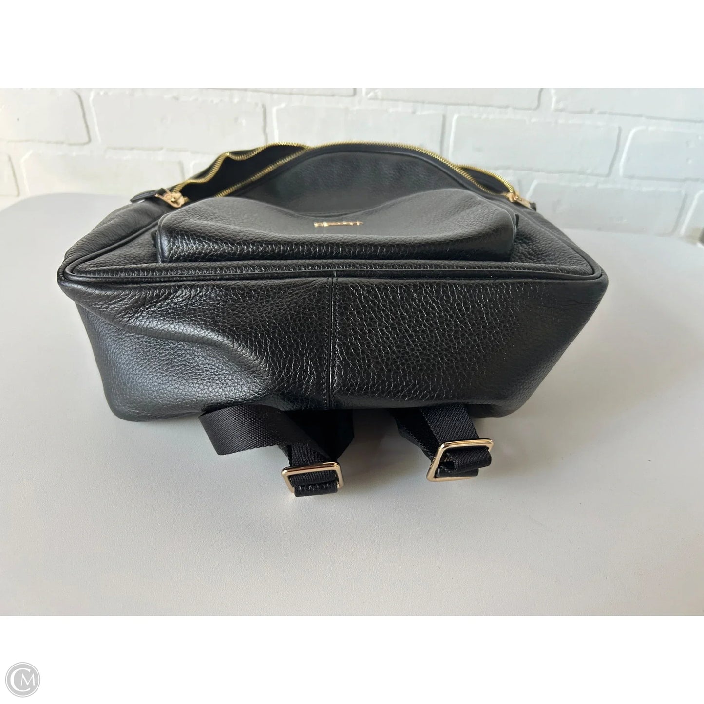 Backpack Designer By Coach, Size: Medium