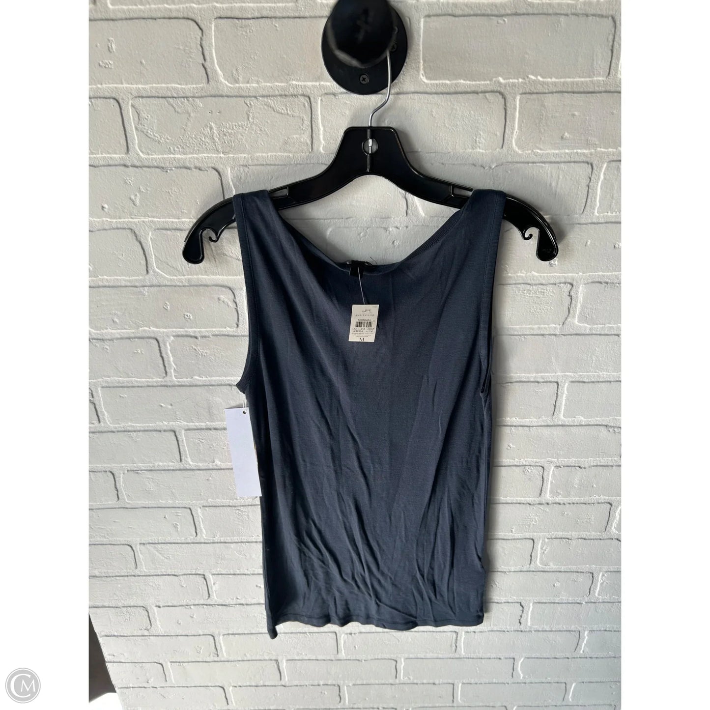 Top Sleeveless Basic By Ann Taylor In Grey & Silver, Size: M