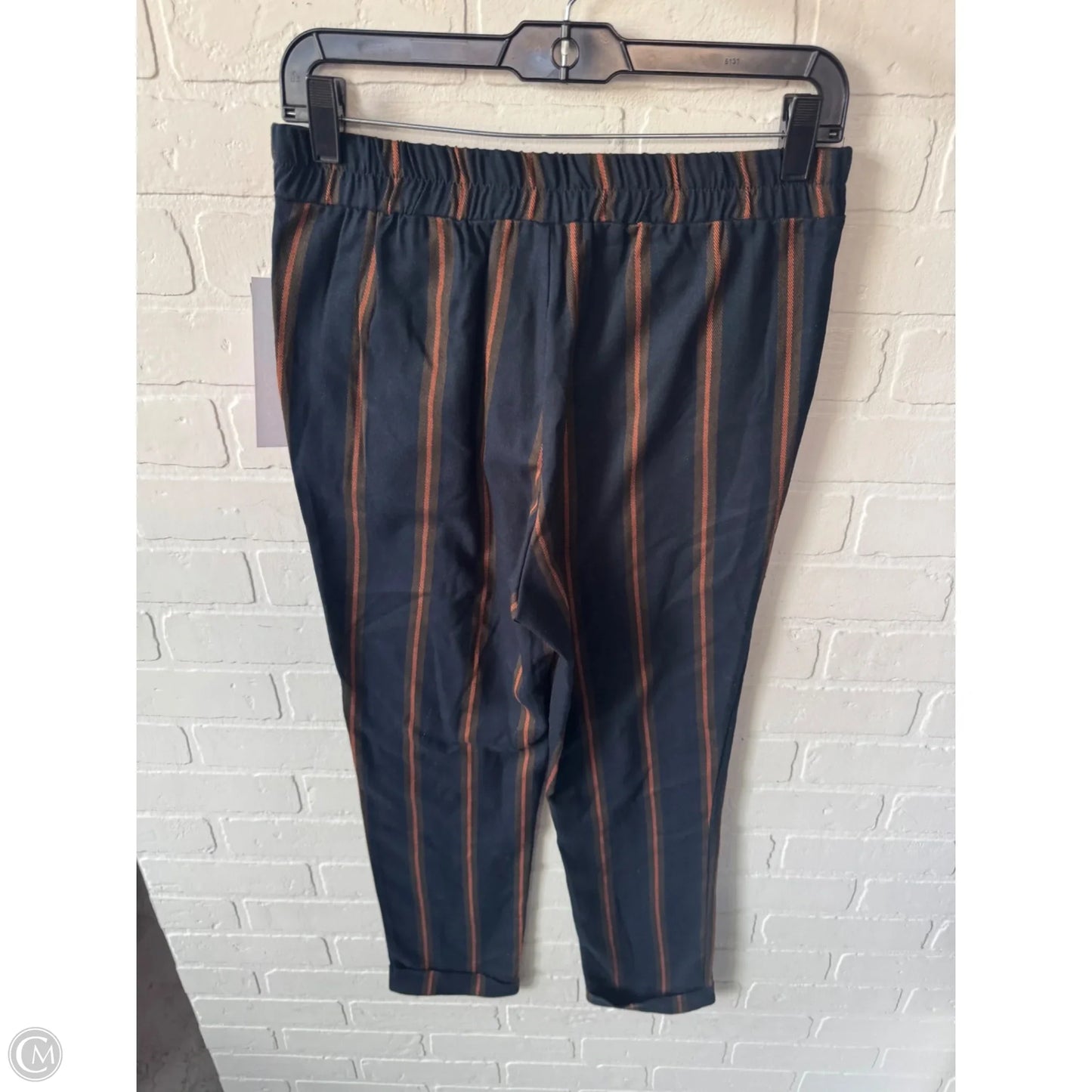 Pants Other By Clothes Mentor In Blue & Brown, Size: 8