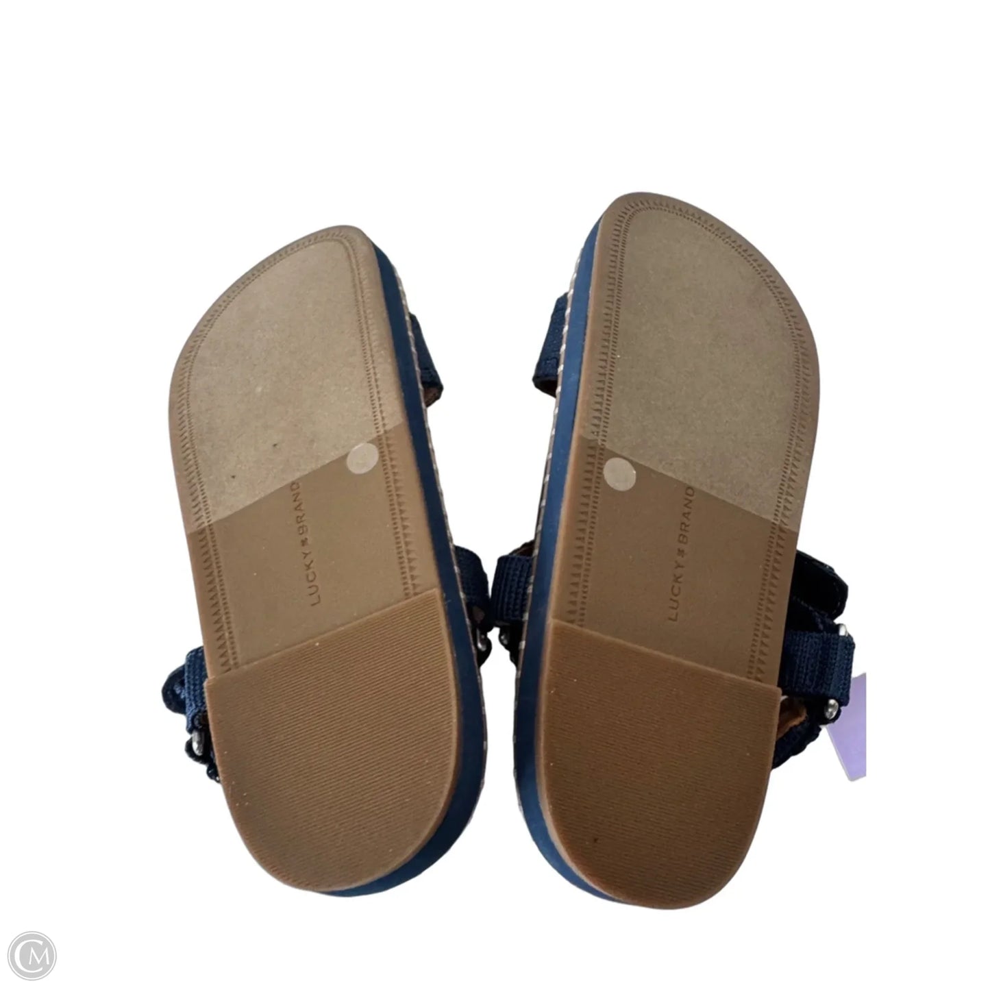 Sandals Flats By Lucky Brand In Blue & Brown, Size: 8