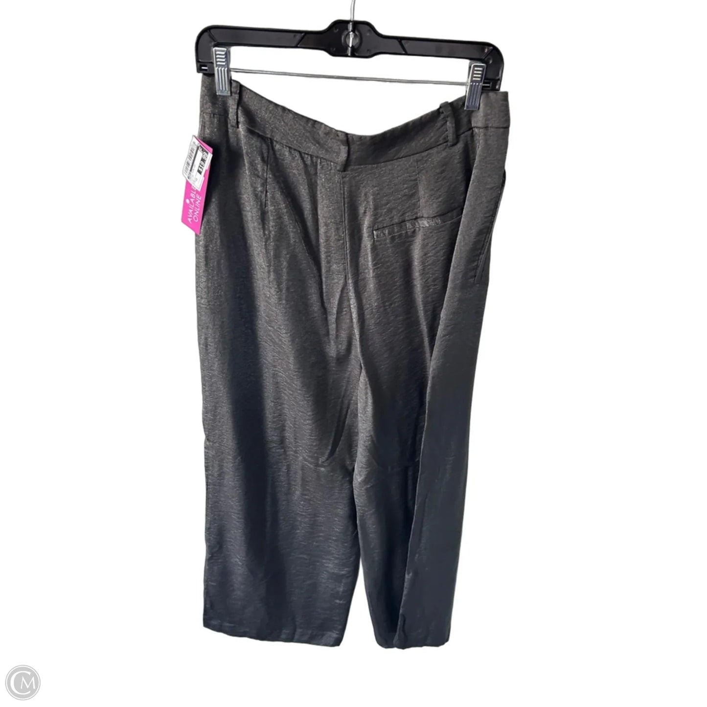 Pants Wide Leg By Maeve In Silver, Size: 12