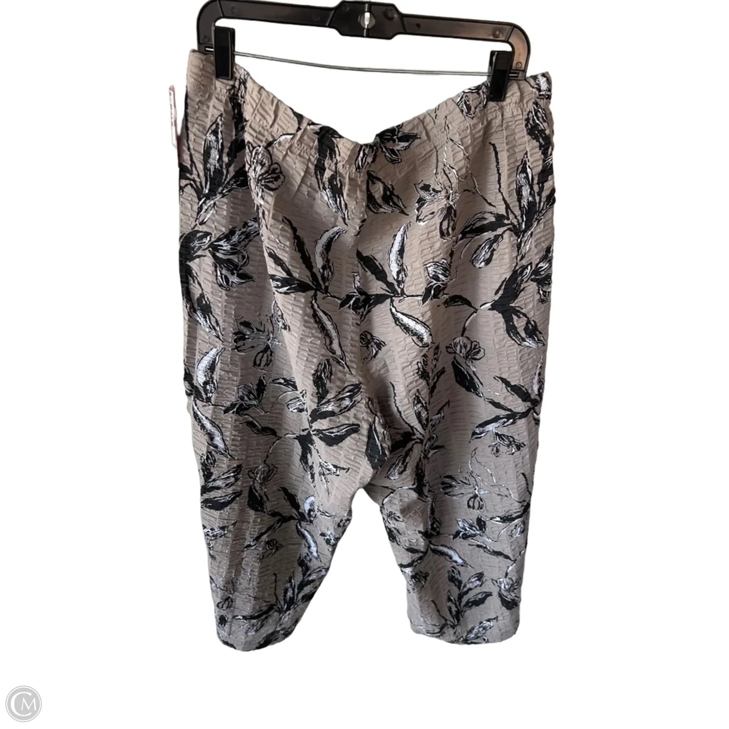 Pants Wide Leg By Habitat In Black & Tan, Size: Xxl