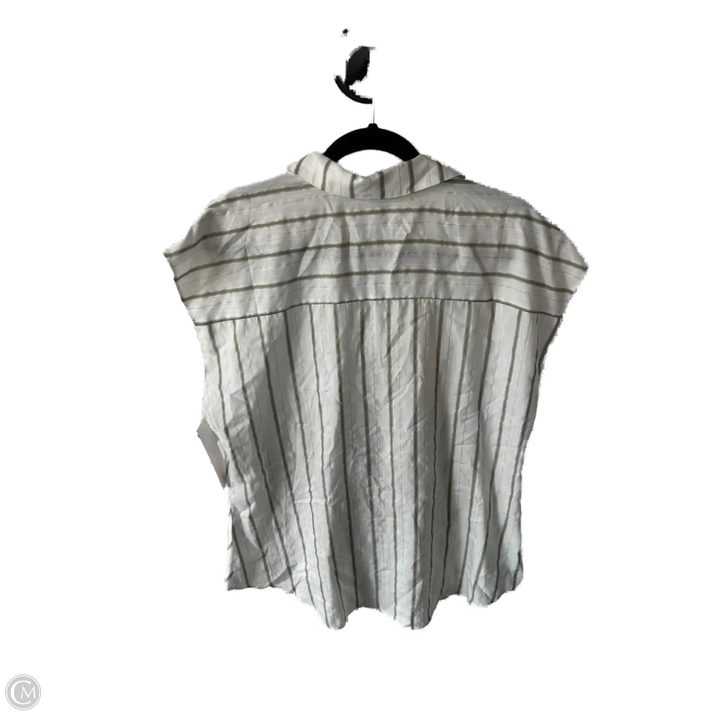 Top Sleeveless By Ellen Tracy In Green & White, Size: Xl