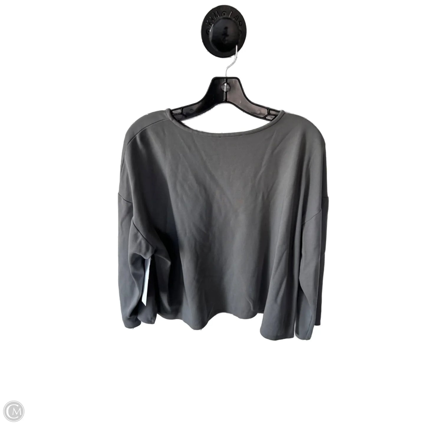 Top Long Sleeve By Eileen Fisher In Grey, Size: L