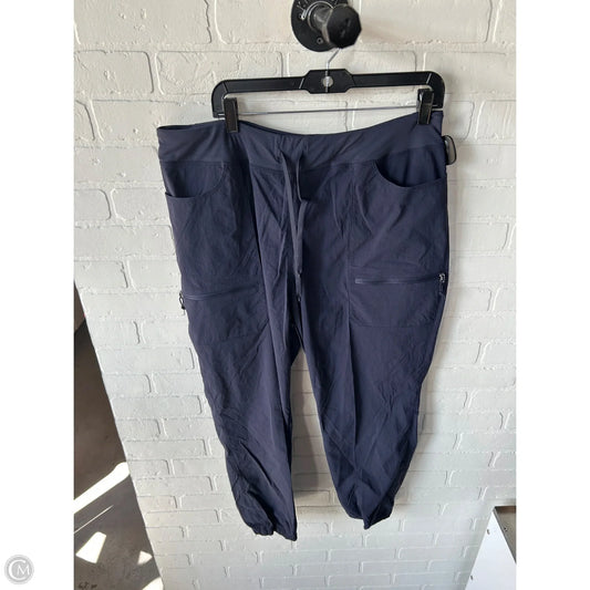 Athletic Pants By Patagonia In Navy, Size: 14