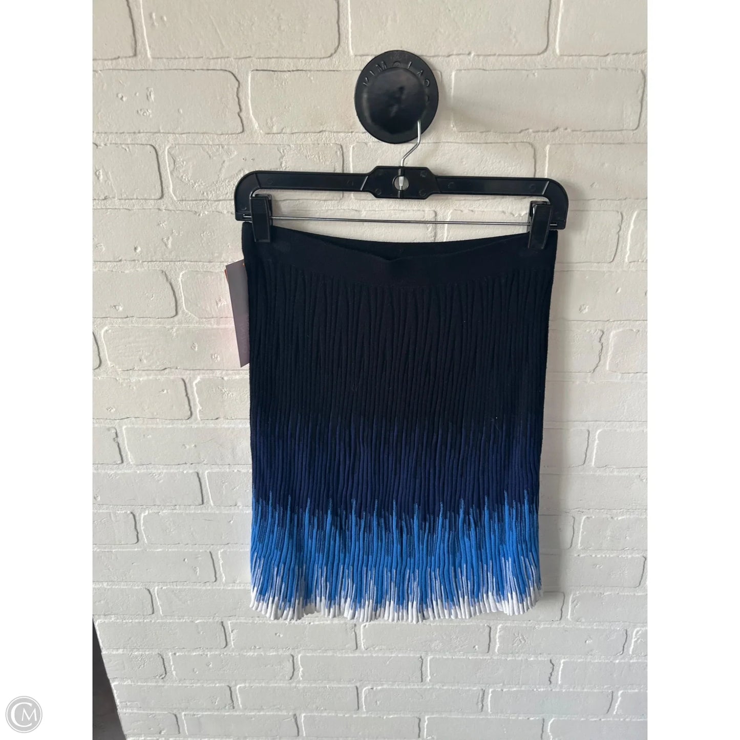 Skirt Mini & Short By Etcetra In Blue & White, Size: 0