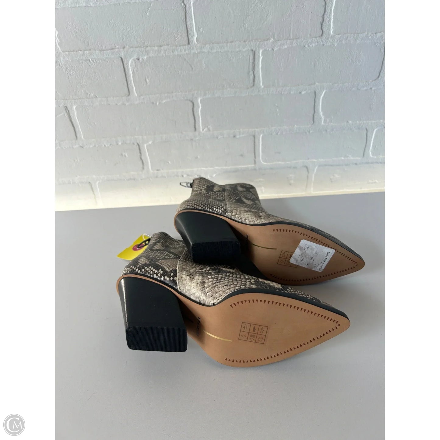 Boots Ankle Heels By Dolce Vita In Cream & Grey, Size: 6