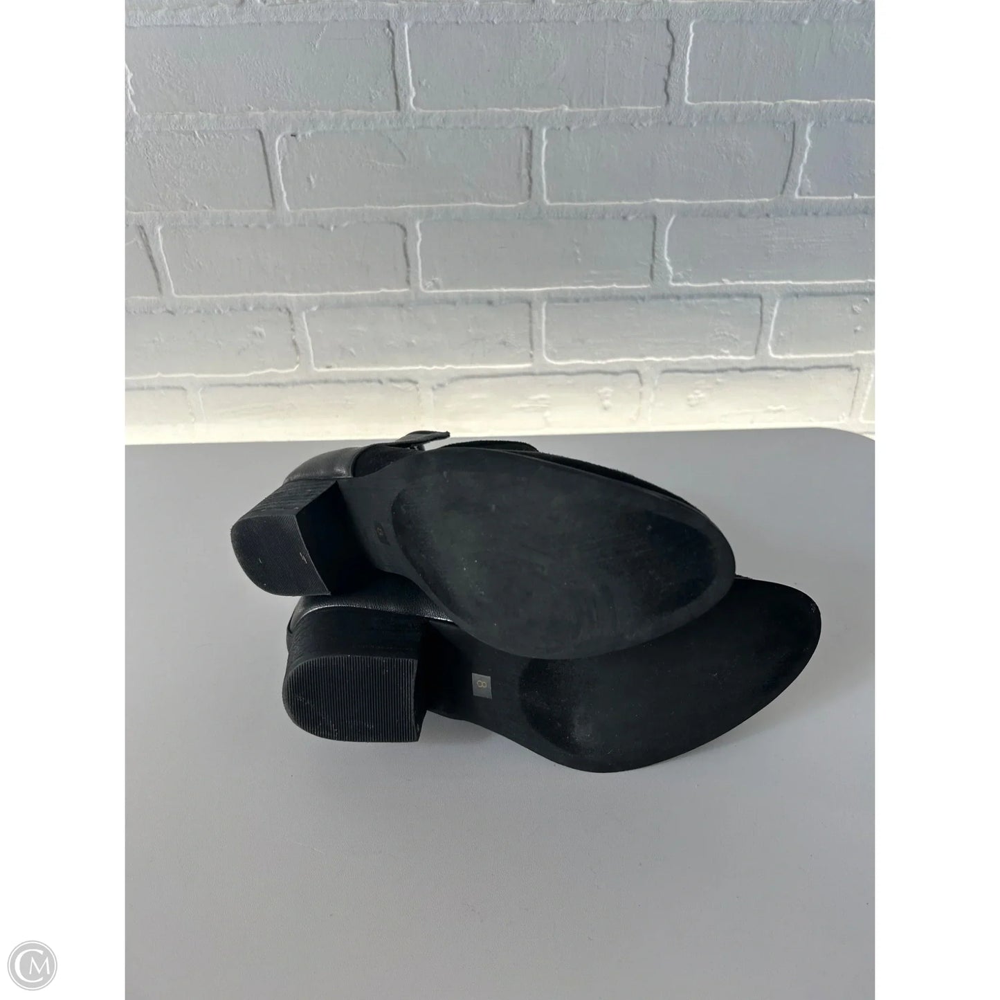 Boots Ankle Heels By Hippie Laundry In Black, Size: 8