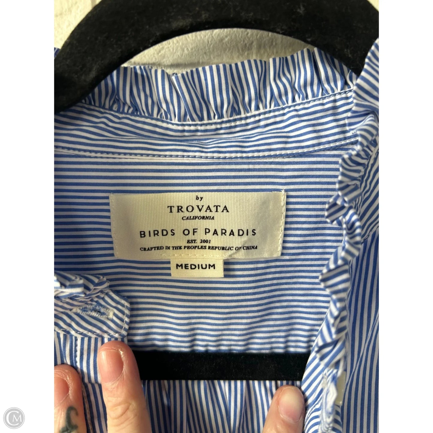 Blouse Long Sleeve By Birds Of Paradis By Trovata In Blue & White, Size: M