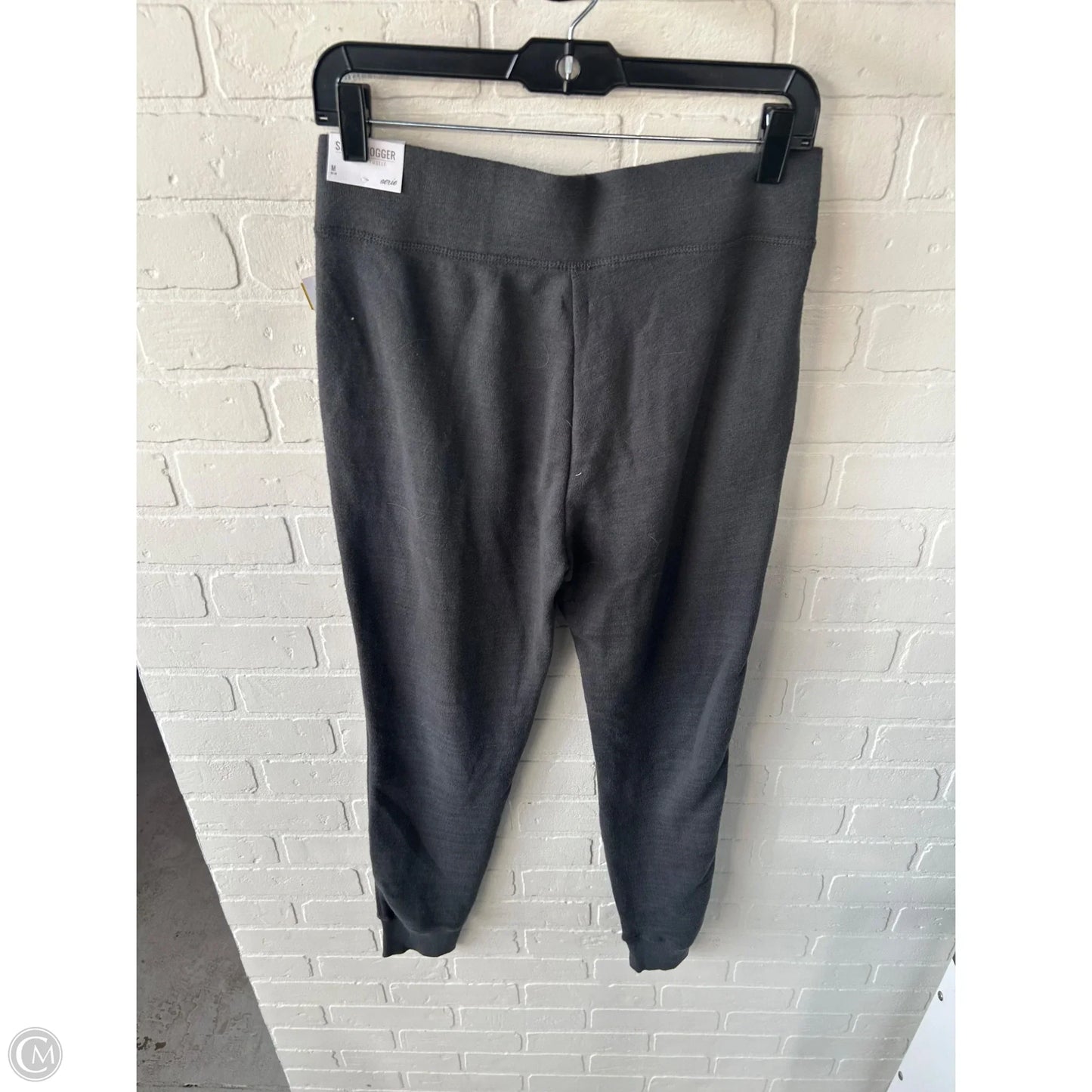 Pants Joggers By Aerie In Grey, Size: 8