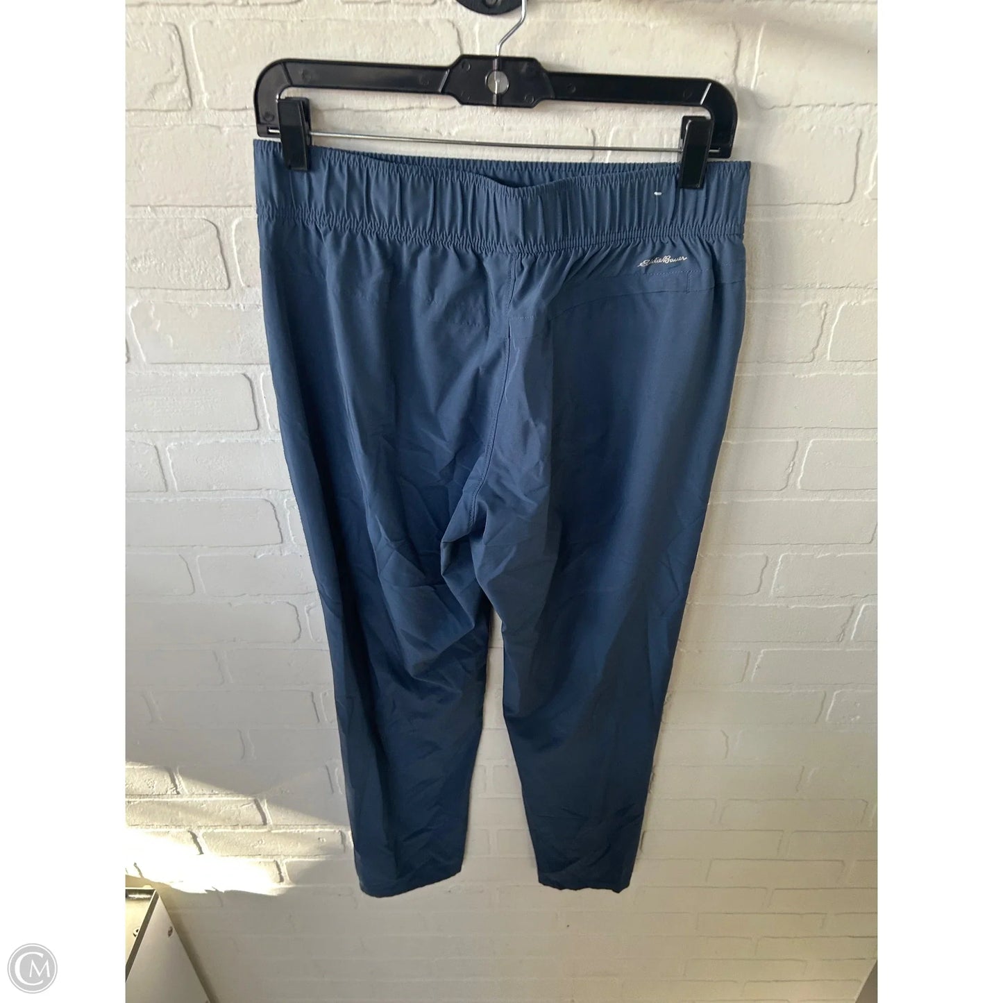 Athletic Pants By Eddie Bauer In Blue, Size: 4