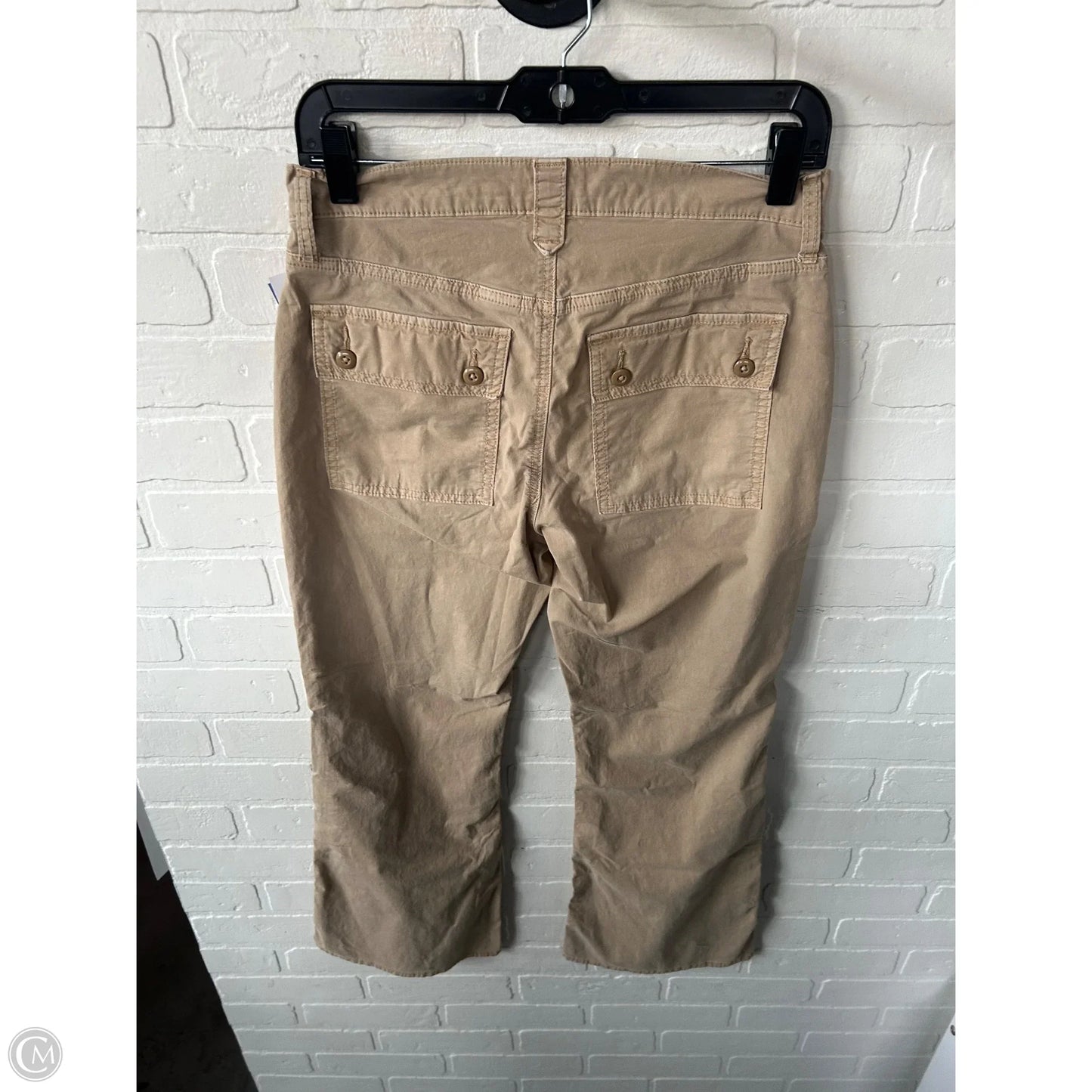 Pants Cargo & Utility By American Eagle In Tan, Size: 2