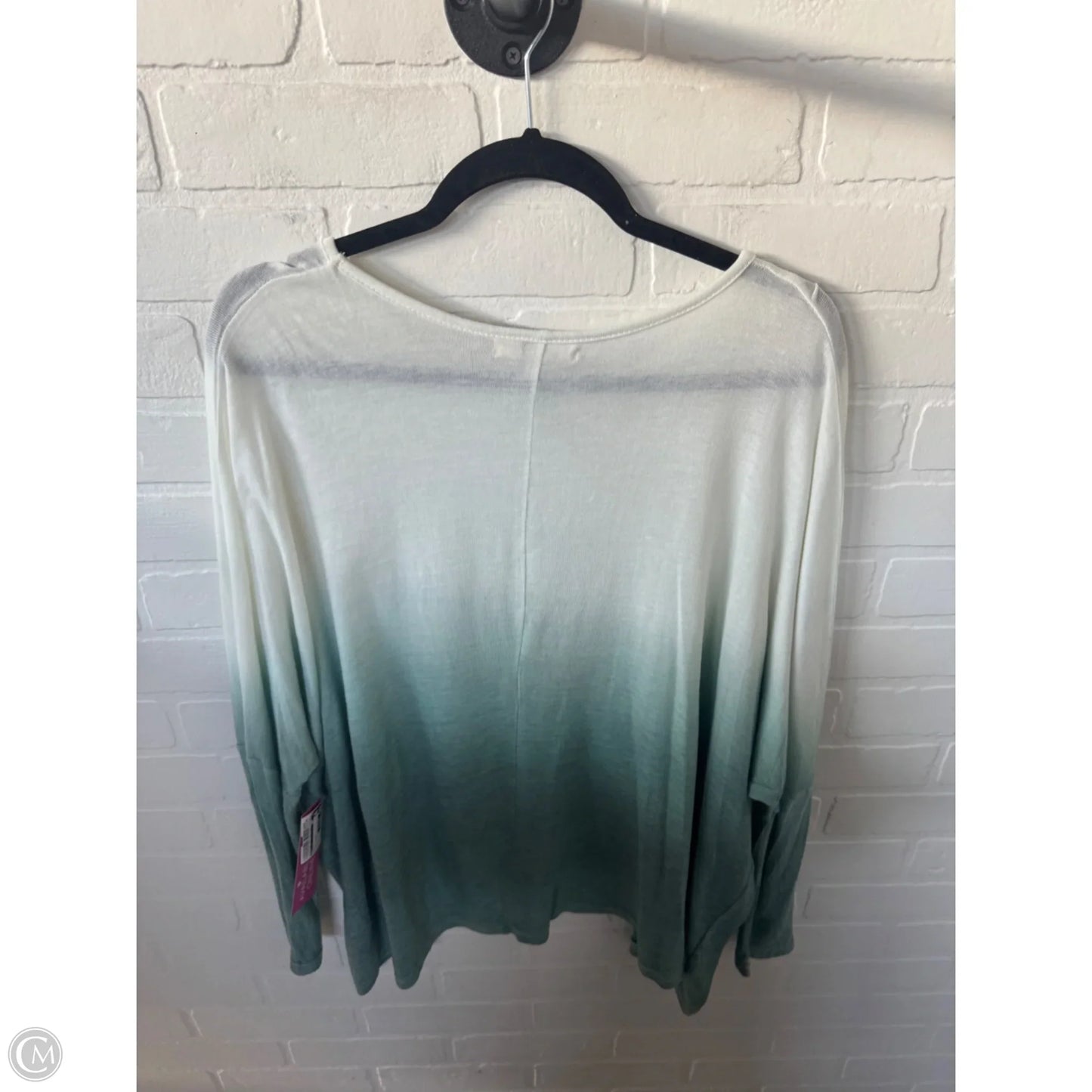 Top Long Sleeve By Ya In Cream & Green, Size: L