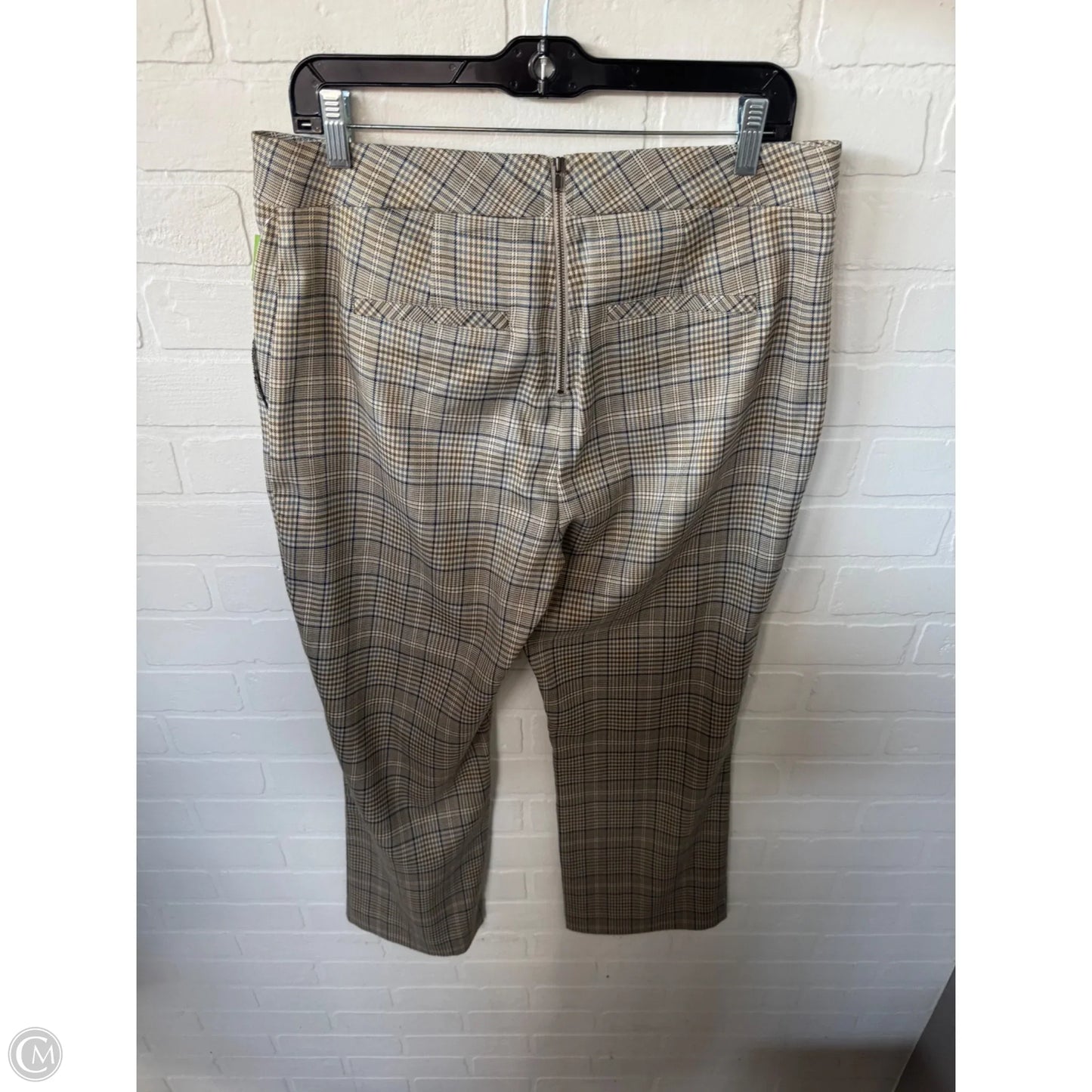 Pants Other By Cabi In Blue & Tan, Size: 8