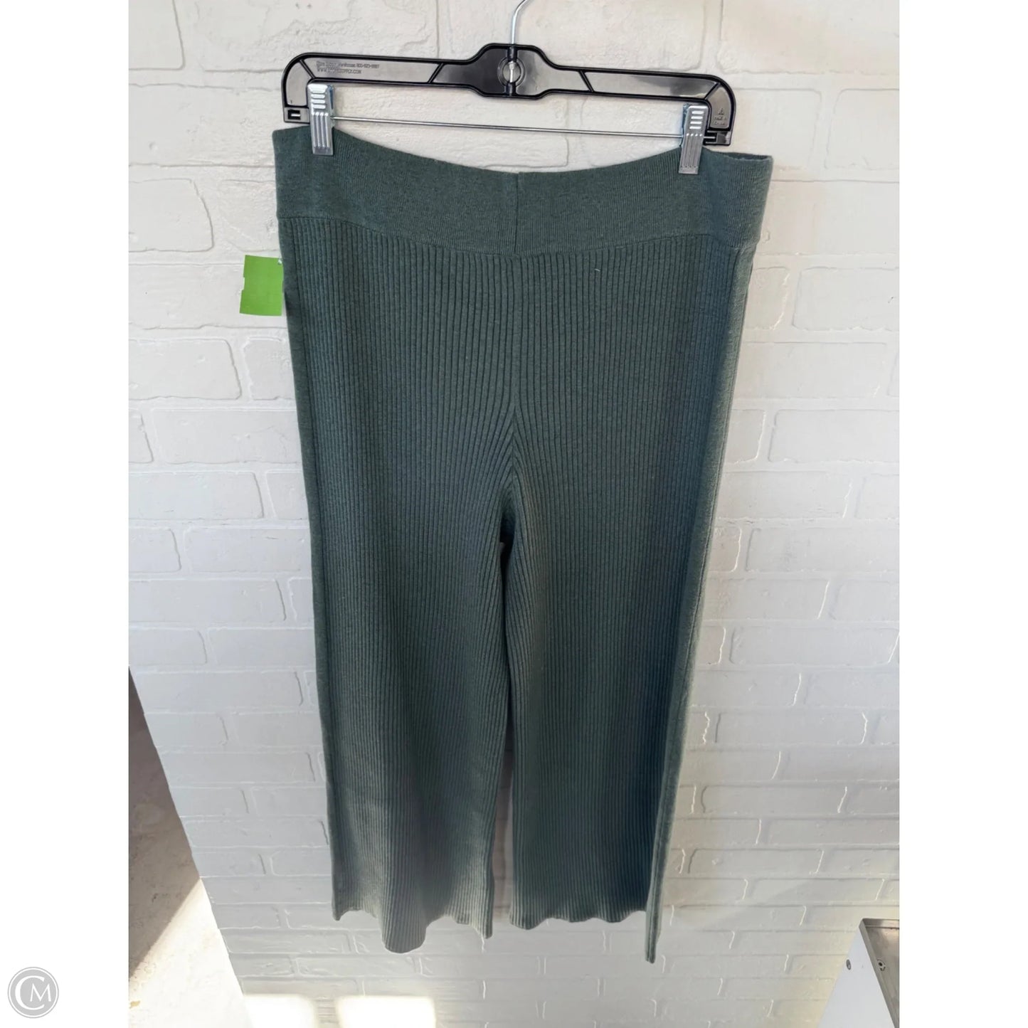 Pants Lounge By Aerie In Green, Size: 16