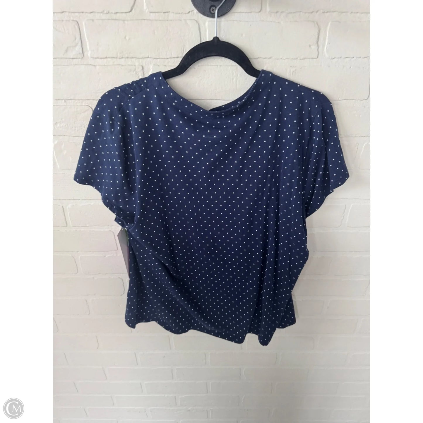 Top Short Sleeve By Lands End In Blue & White, Size: L