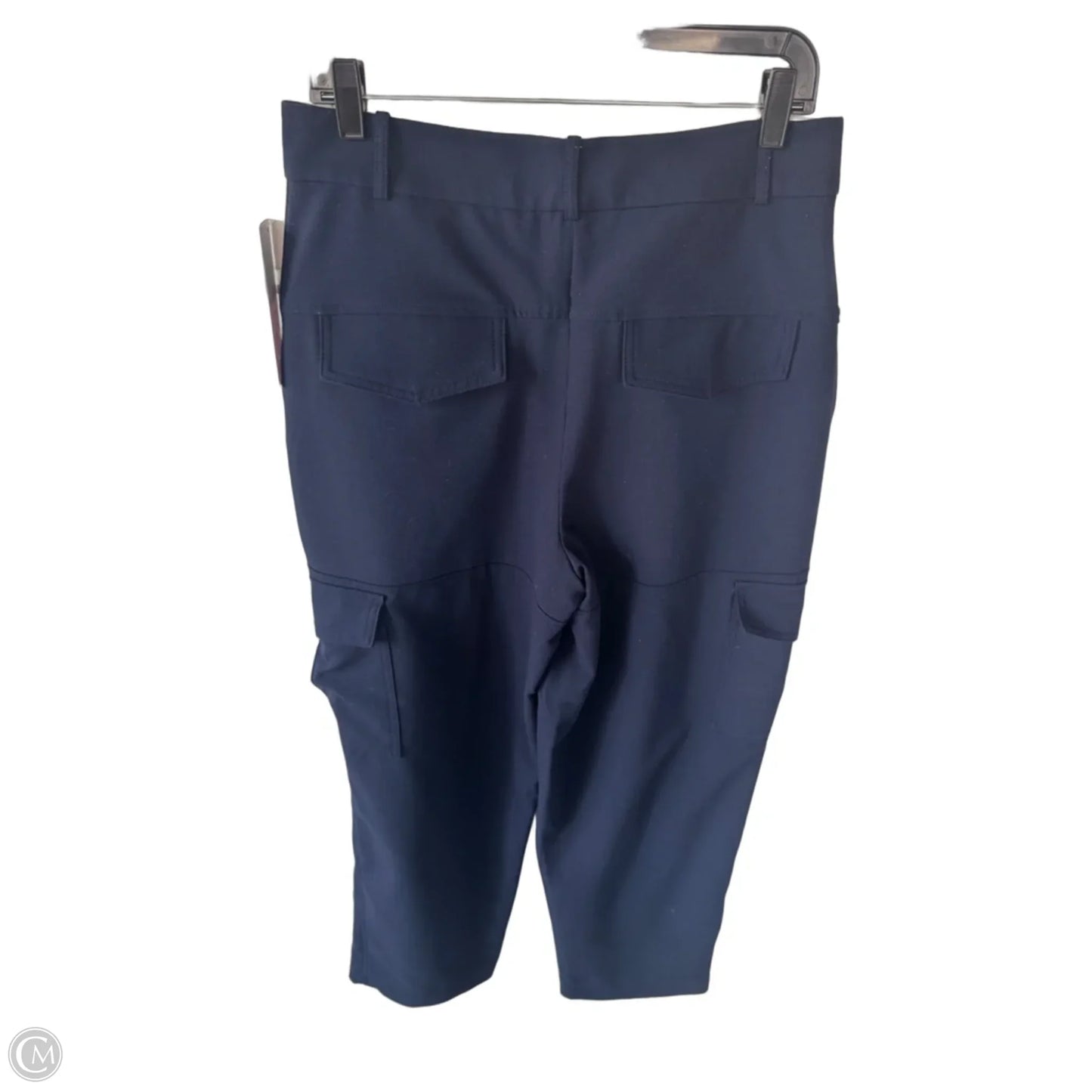 Pants Other By Banana Republic In Navy, Size: 8