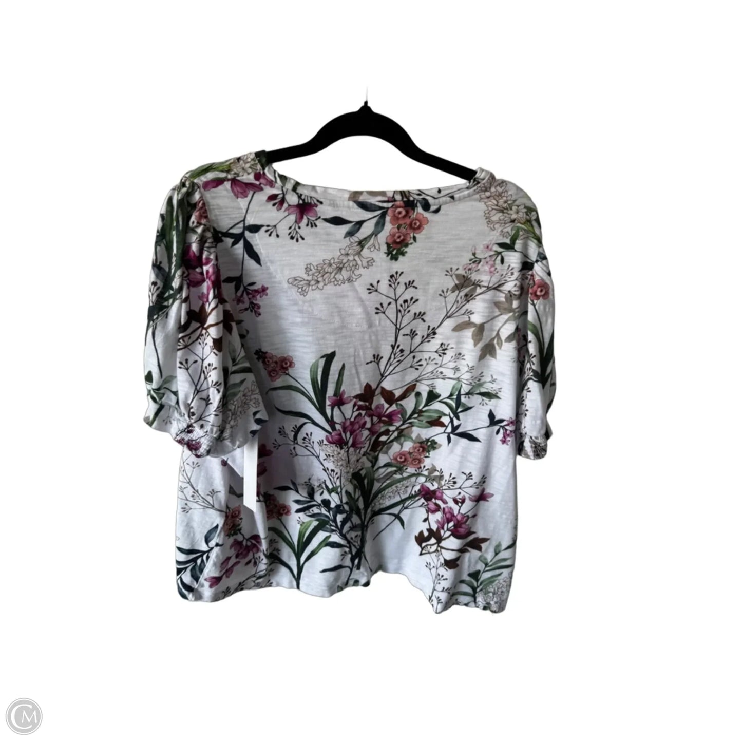 Top Short Sleeve By Chicos In Green & White, Size: Xl