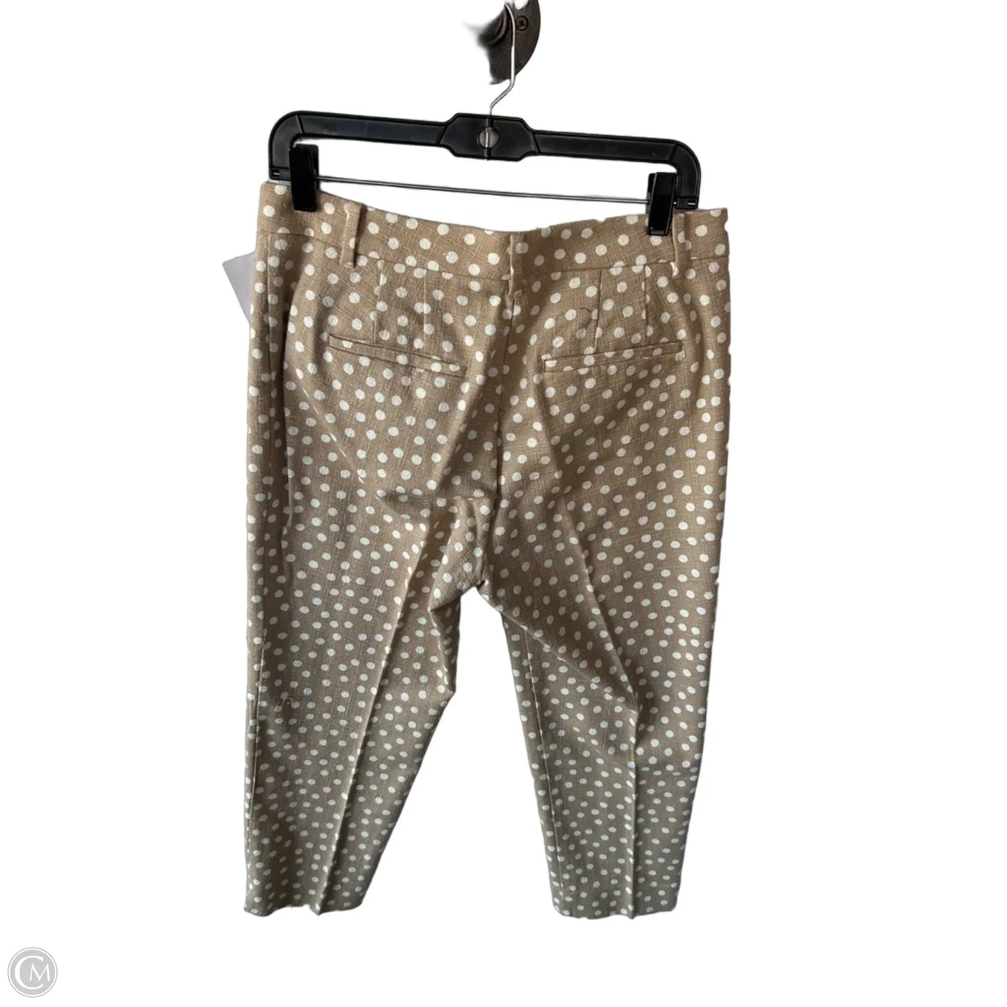 Pants Other By Ann Taylor In Tan & White, Size: 6