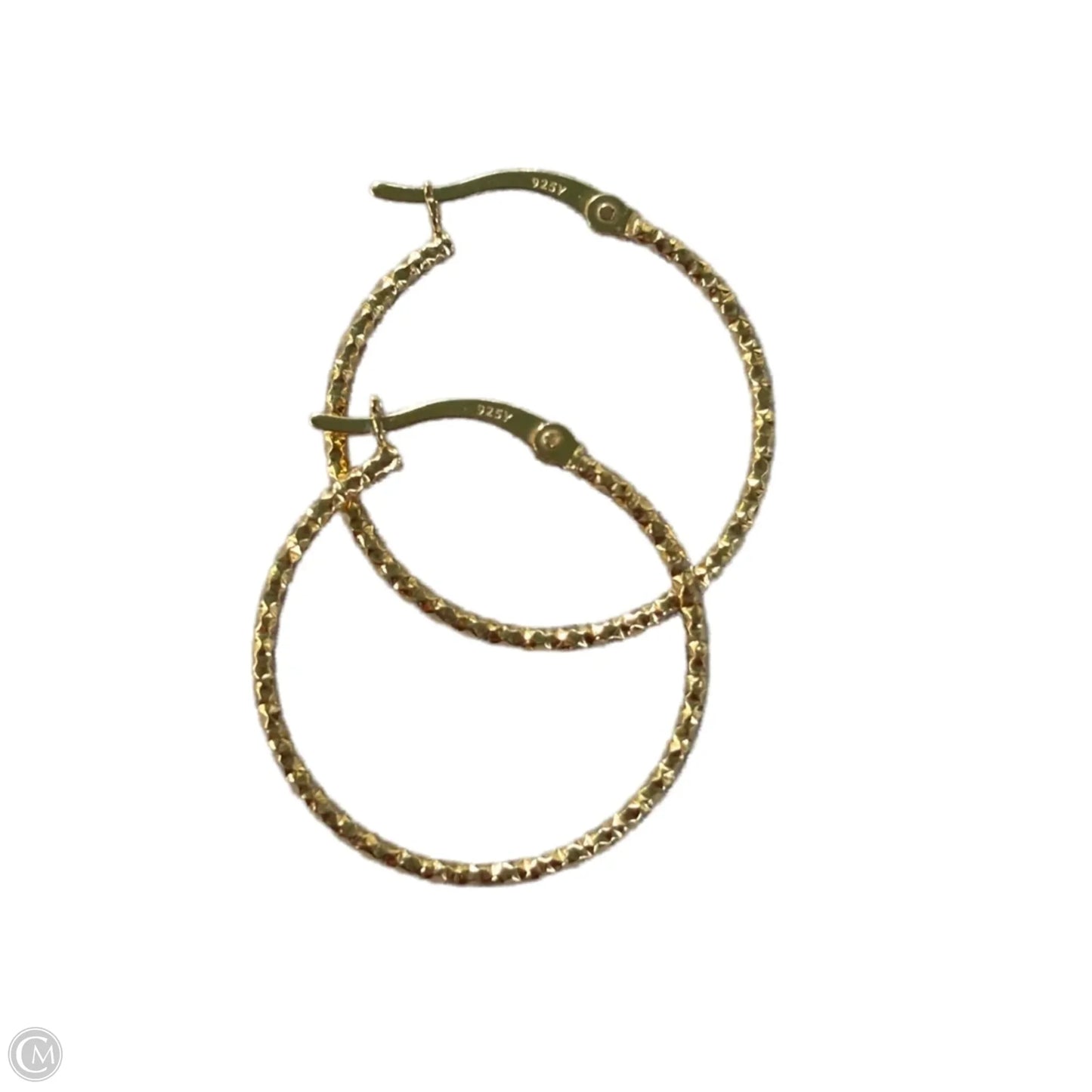 Earrings Hoop