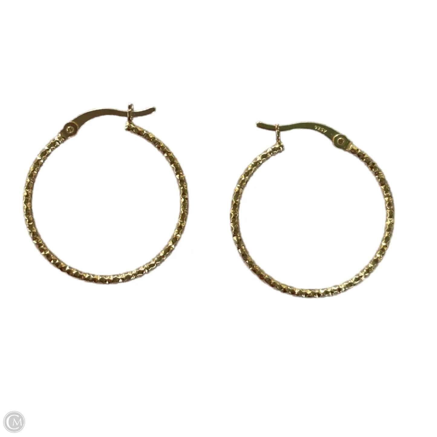 Earrings Hoop
