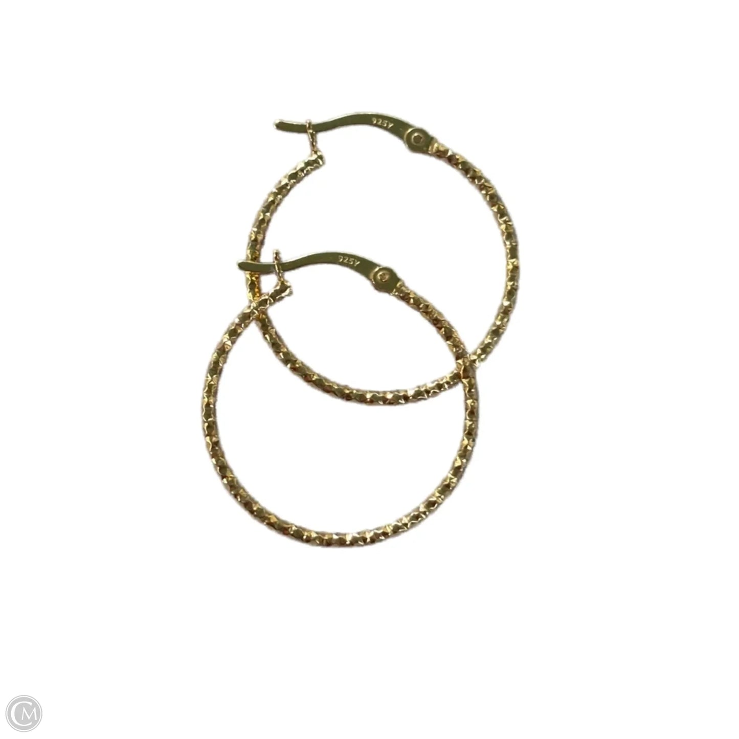 Earrings Hoop