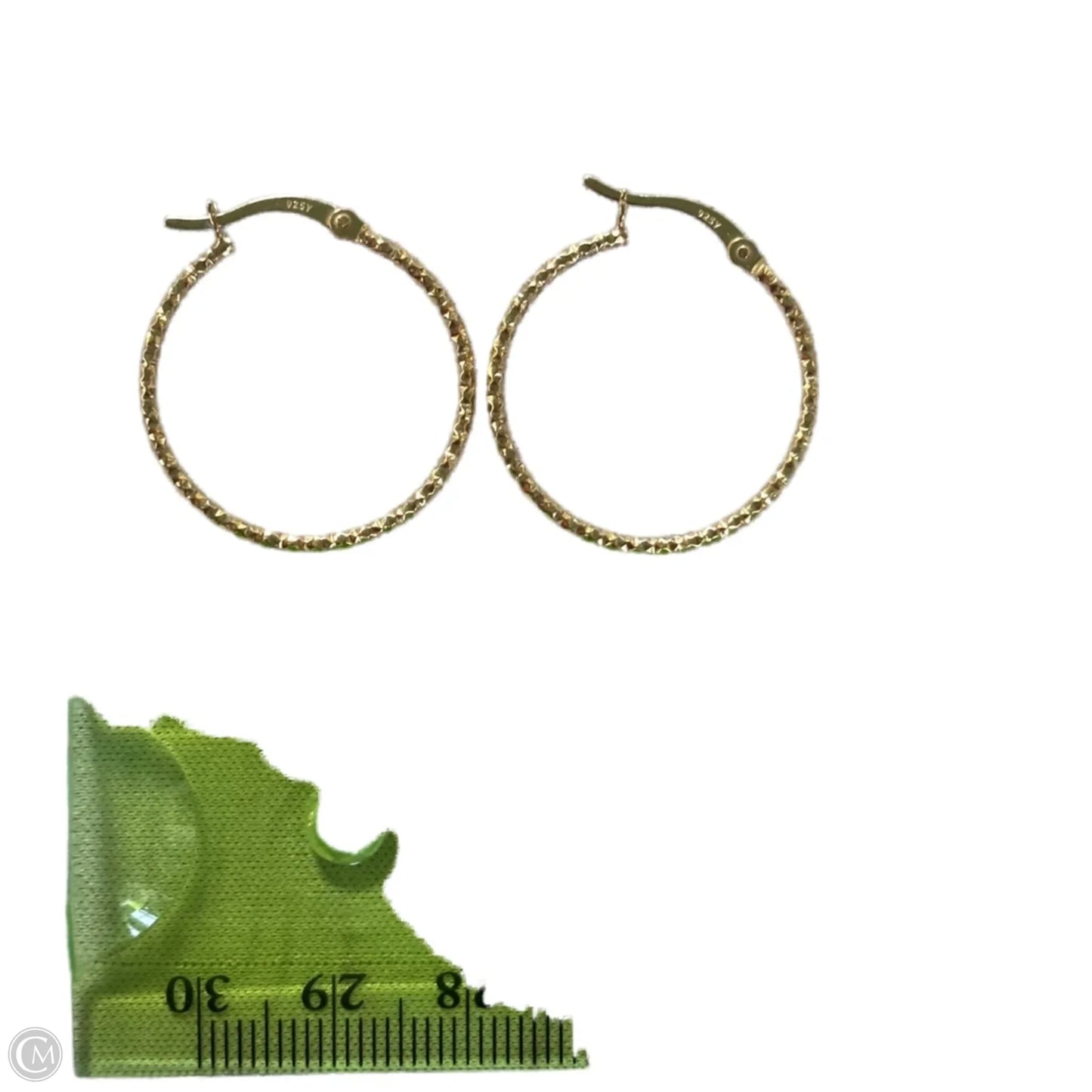 Earrings Hoop