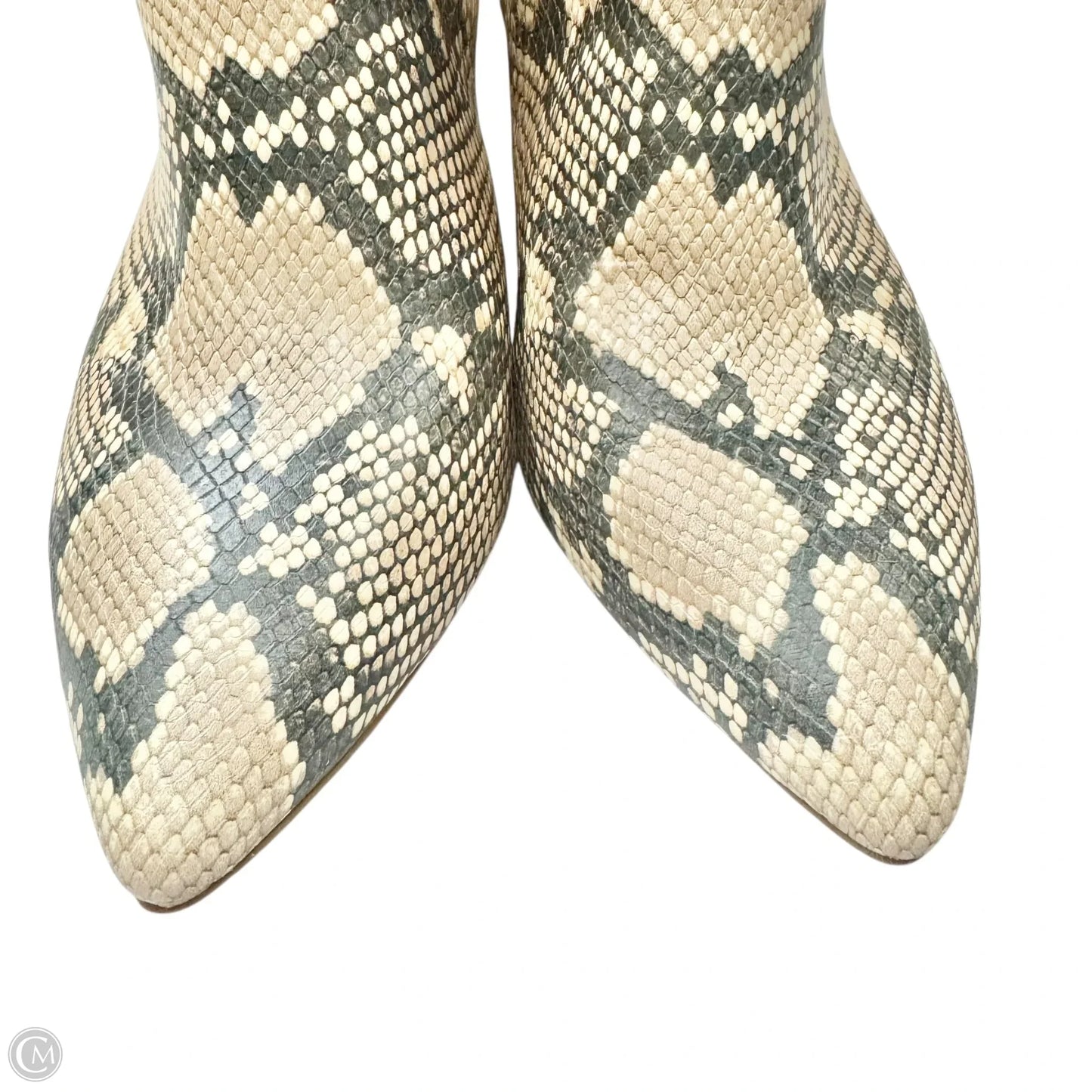Boots Ankle Heels By Vince Camuto In Snakeskin Print, Size: 10