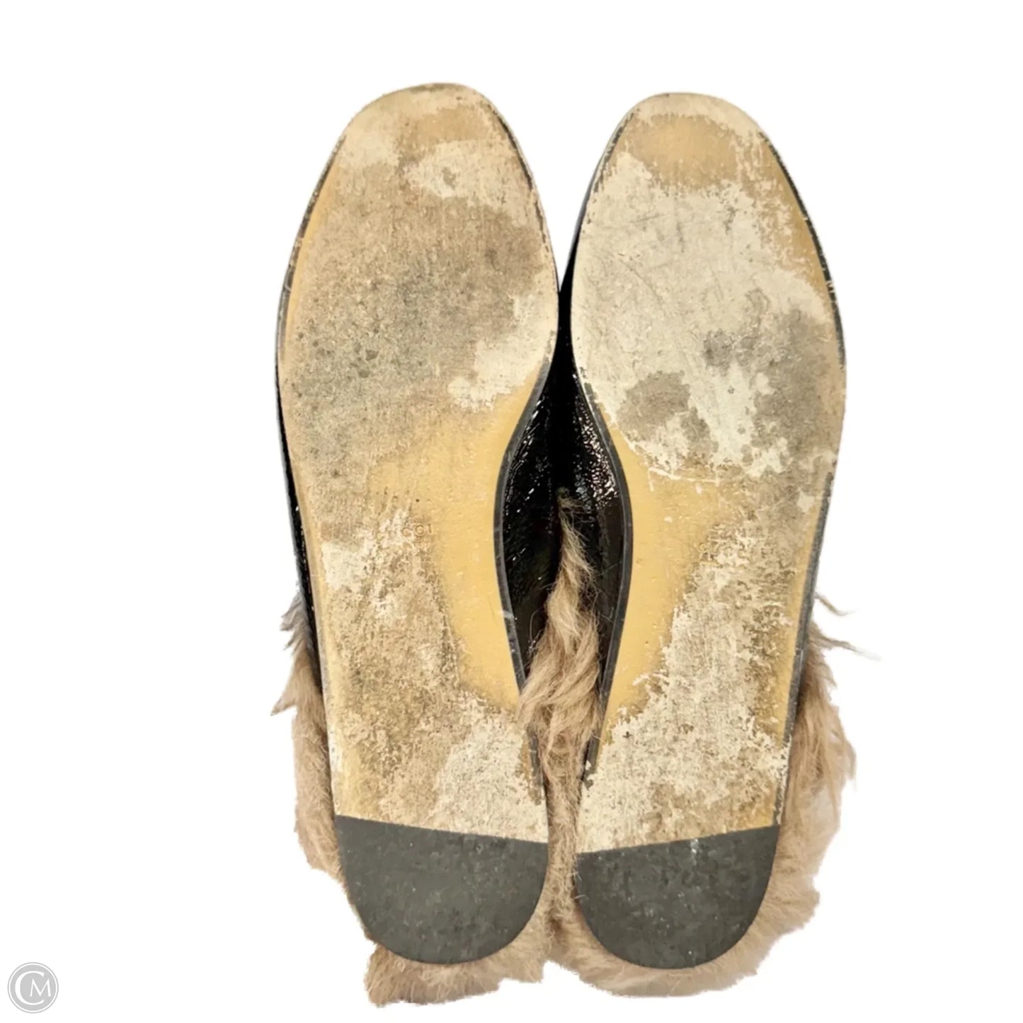 Shoes Luxury Designer By Gucci In Black, Size: 10