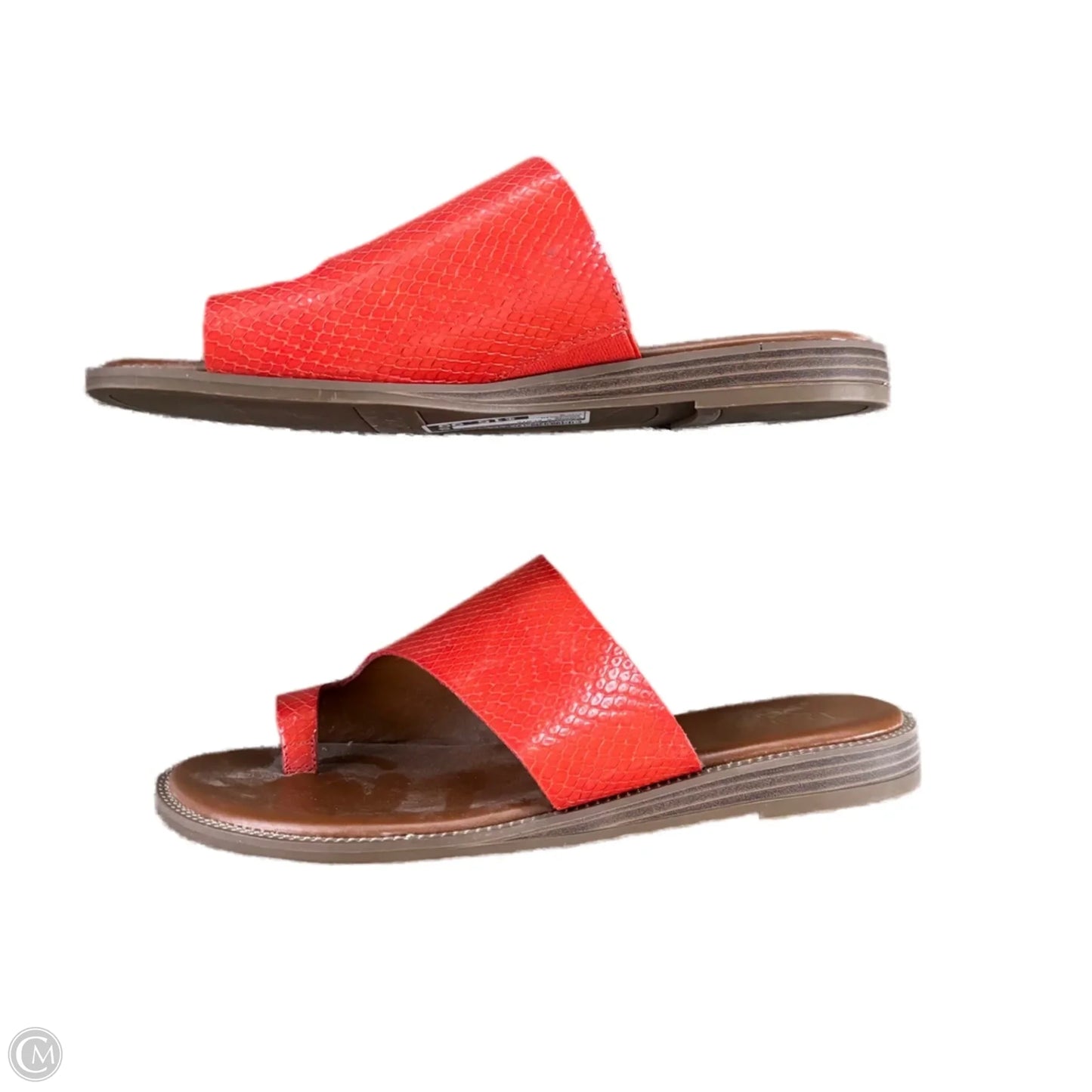 Sandals Flats By Franco Sarto In Orange, Size: 8