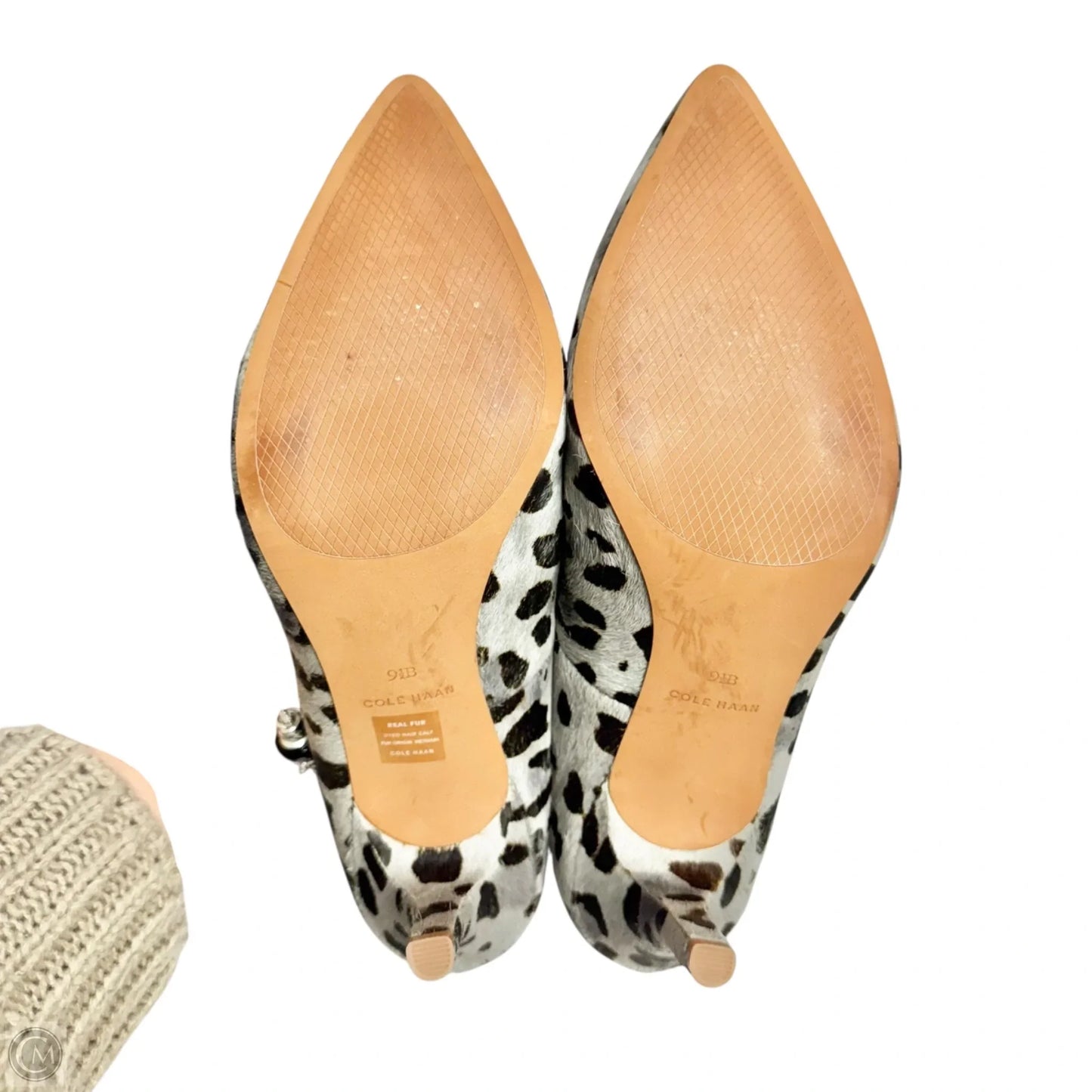 Shoes Heels Stiletto By Cole-haan In Animal Print, Size: 9.5