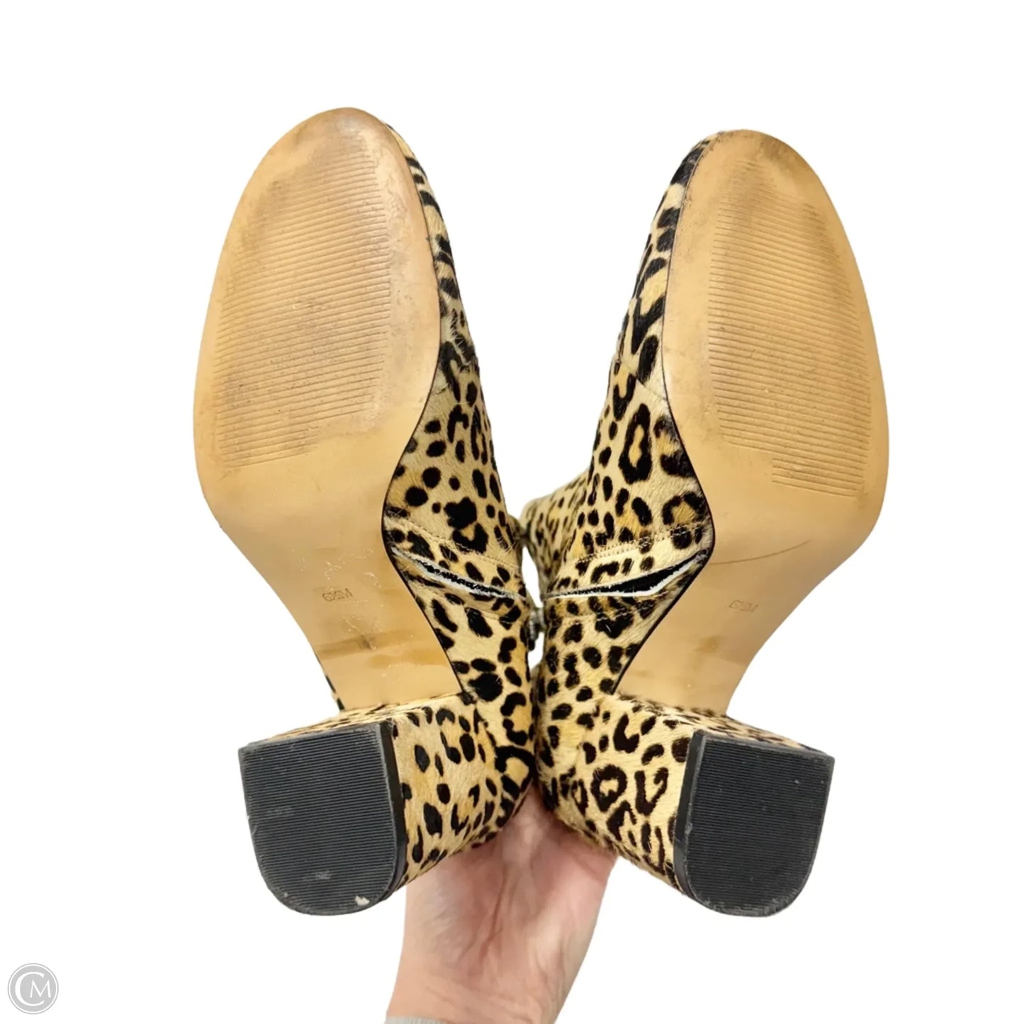 Boots Ankle Heels By Halogen In Leopard Print, Size: 6.5