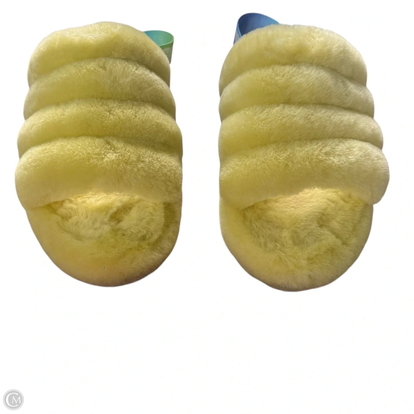 Slippers Designer By Ugg In Green, Size: 6