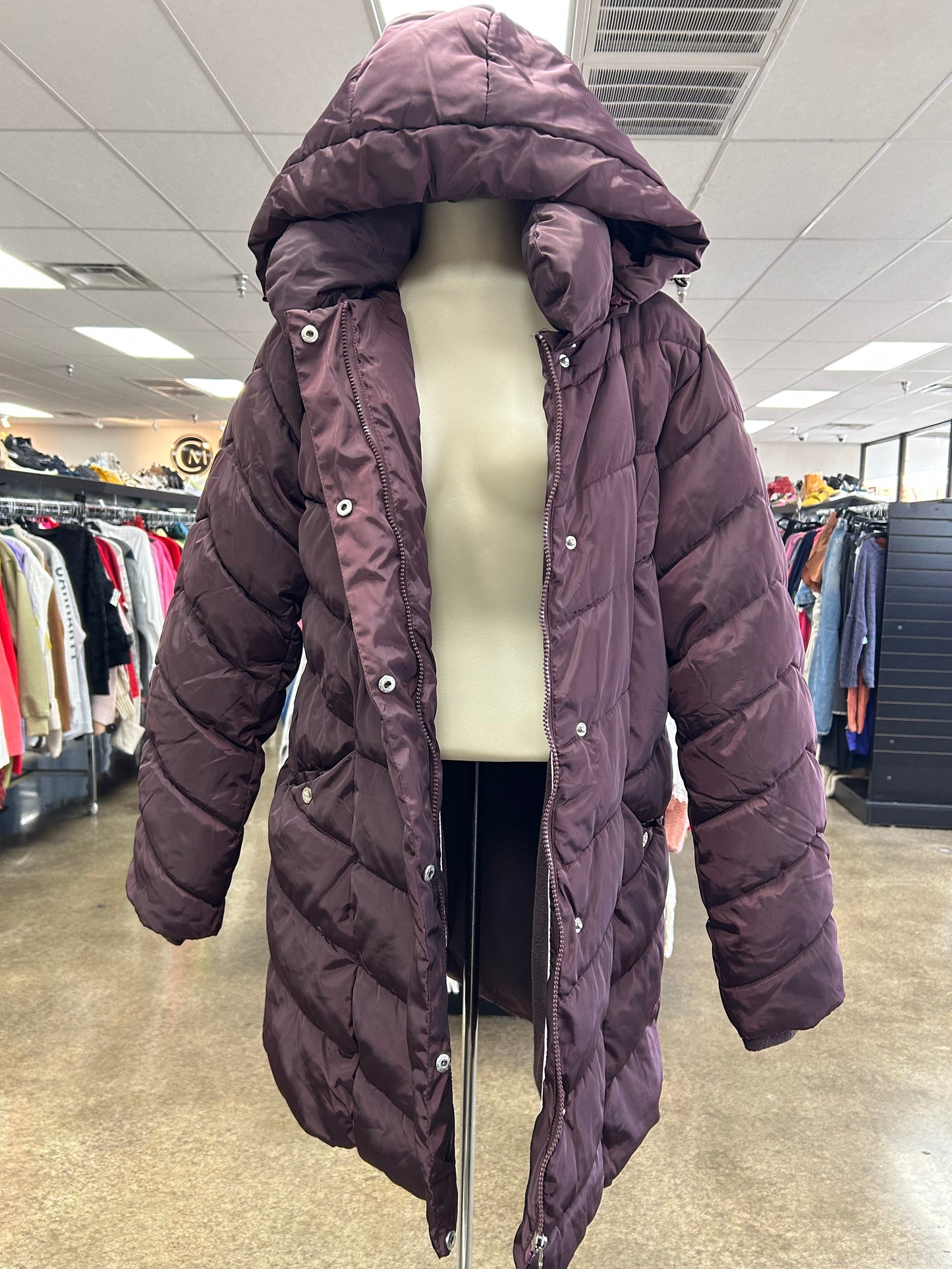 Coat Puffer & Quilted By Steve Madden In Maroon, Size:L