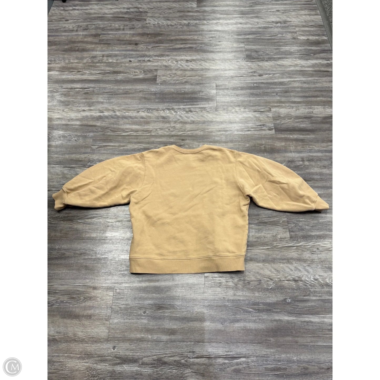 Sweatshirt Crewneck By Agolde In Tan, Size: L