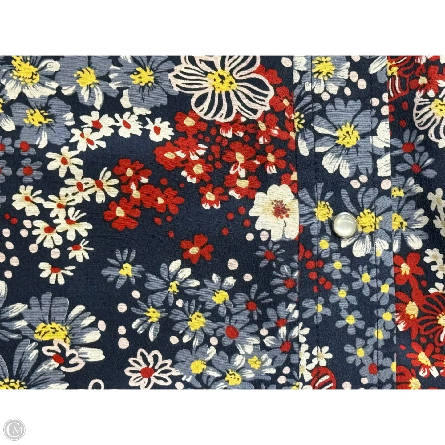 Top Long Sleeve By Adriano Goldschmied In Floral Print, Size: L