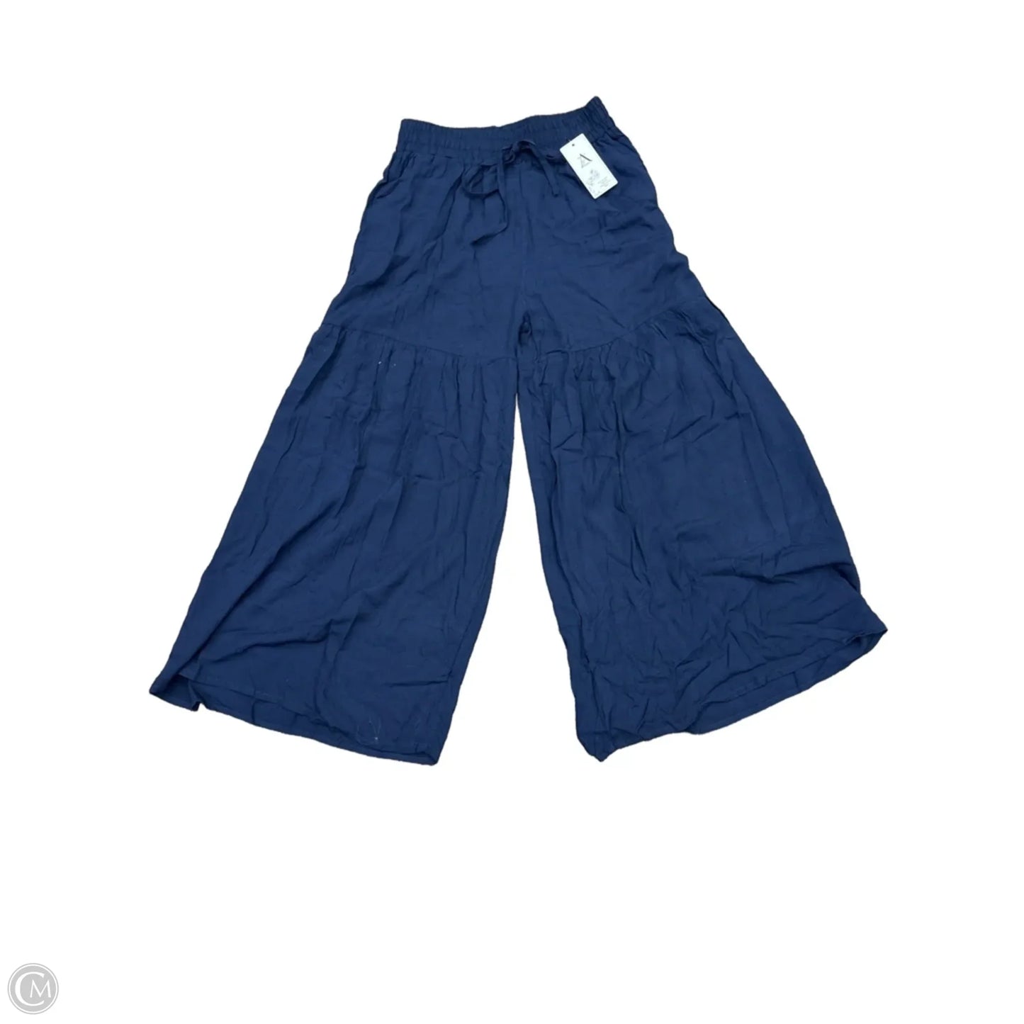 Pants Other By Clothes Mentor In Navy, Size: S