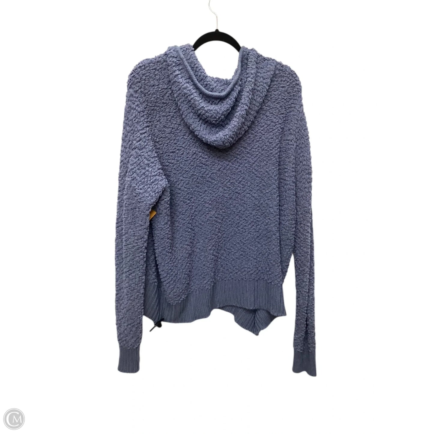 Sweatshirt Hoodie By Clothes Mentor In Blue, Size: L