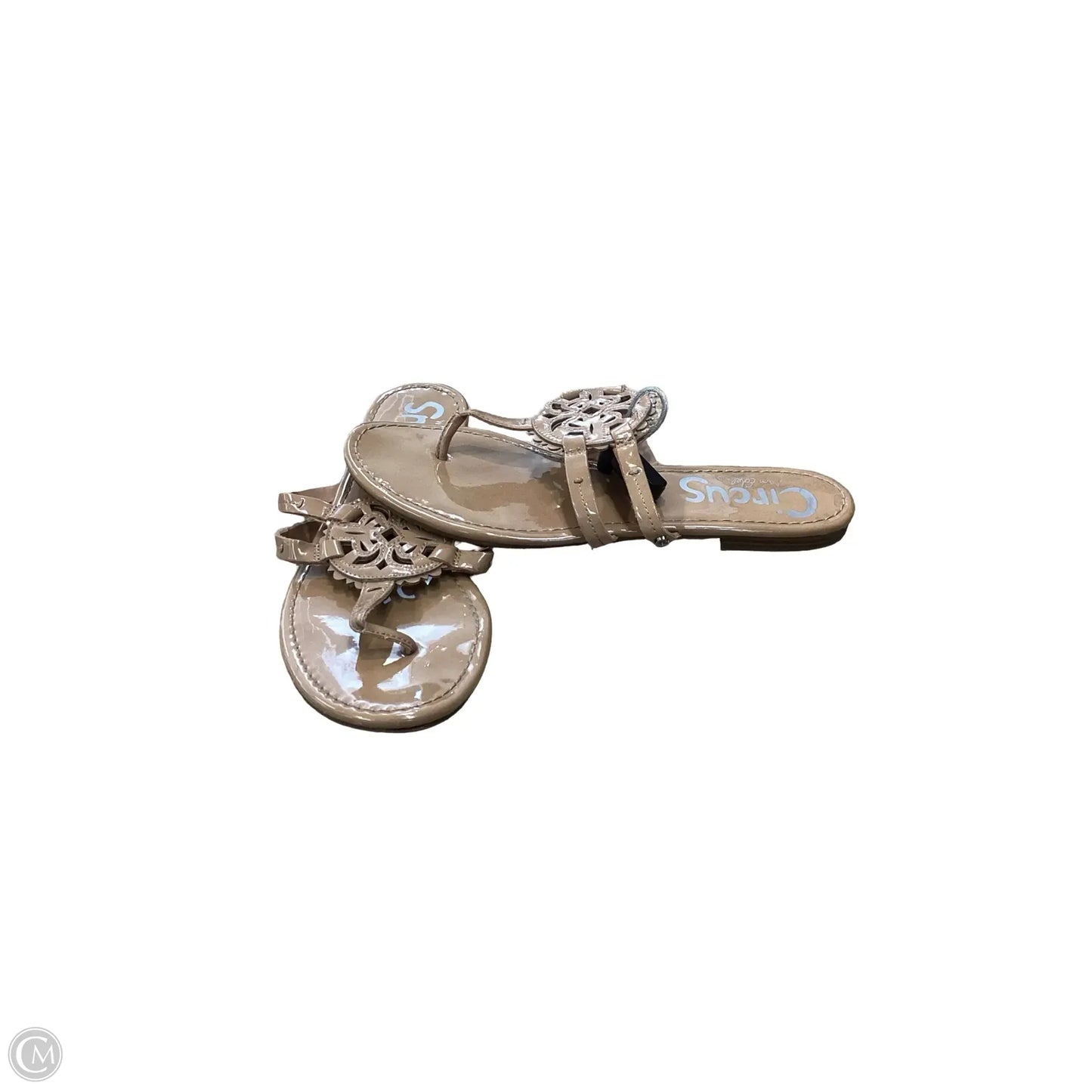 Sandals Flats By Circus By Sam Edelman In Tan, Size: 10