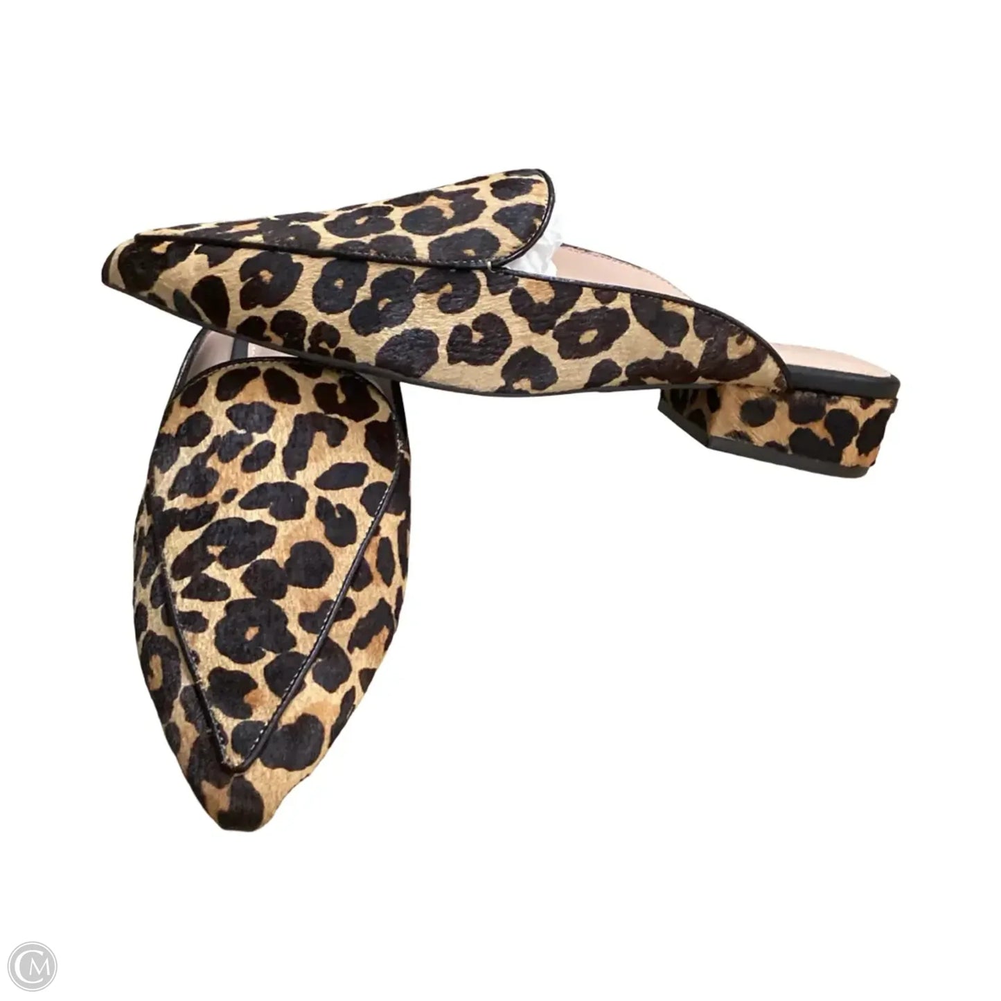 Shoes Flats By Cole-haan In Animal Print, Size: 9.5