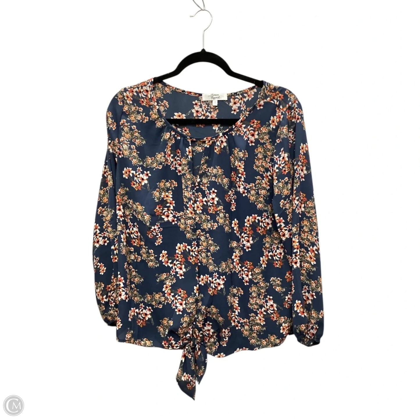 Blouse Long Sleeve By Clothes Mentor In Blue, Size: L