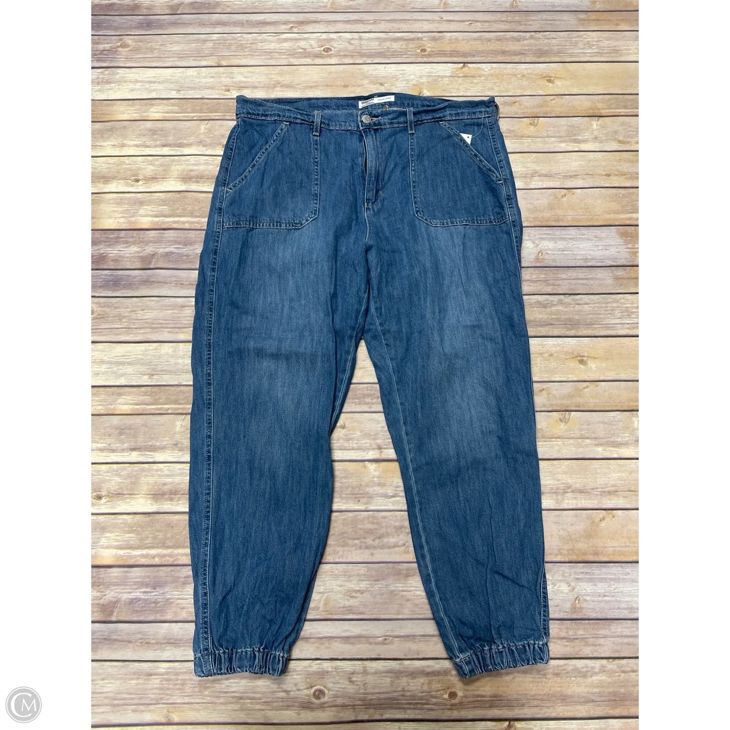 Pants Joggers By Levis In Blue, Size: 16