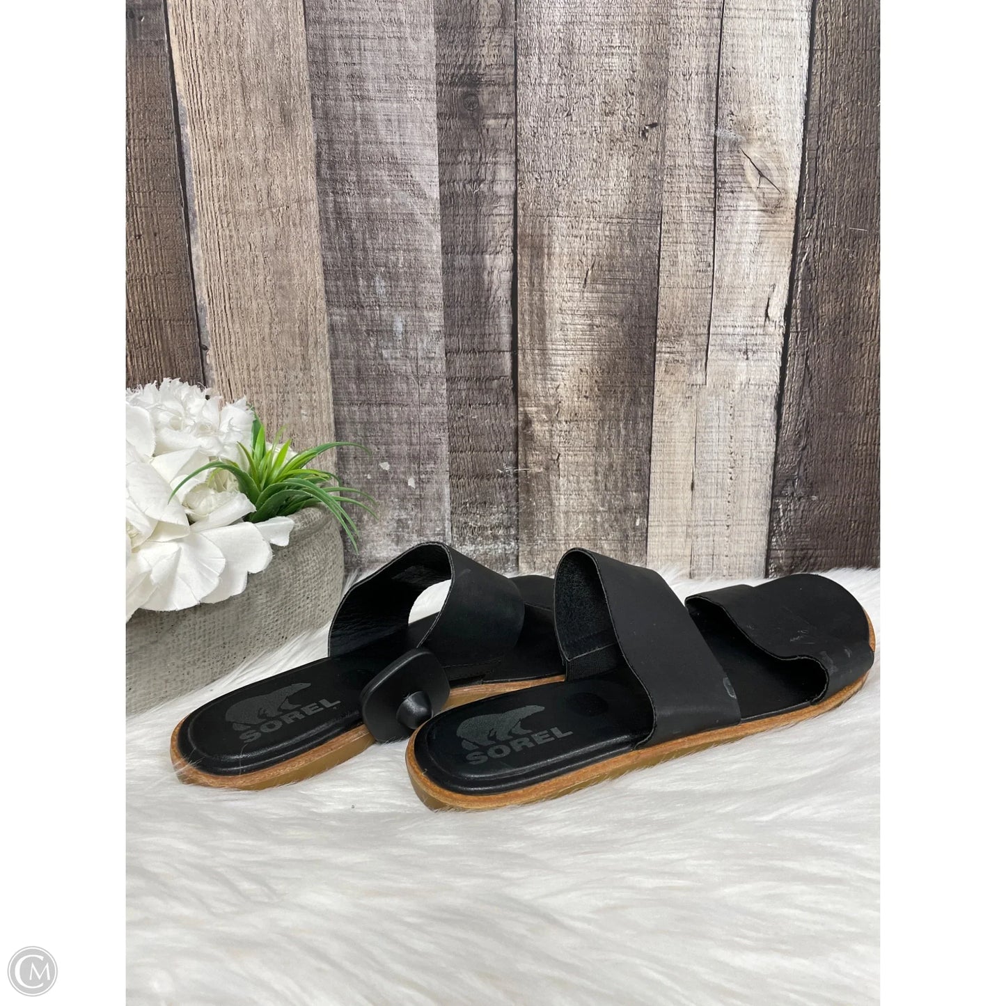 Sandals Flats By Sorel In Black, Size: 9