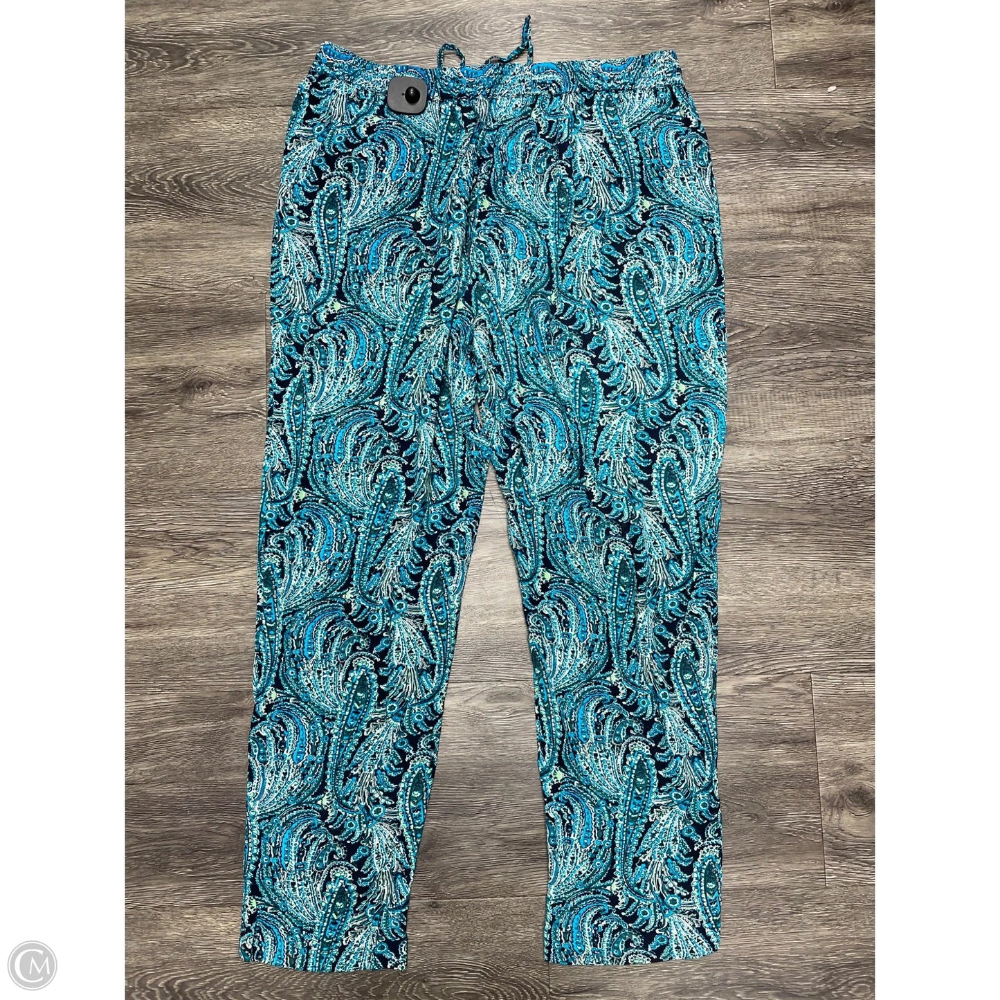 Pants Other By Talbots In Aqua, Size: L