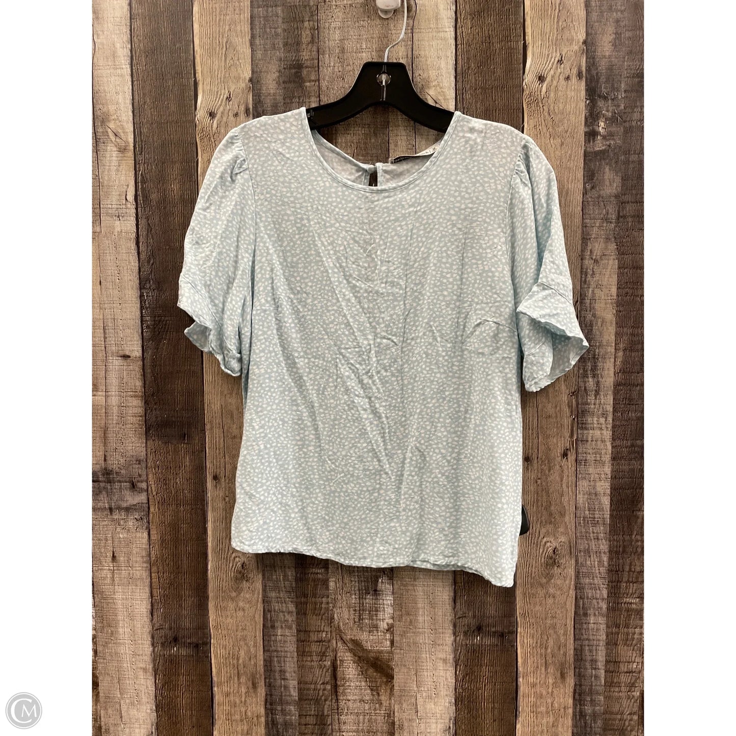 Top Short Sleeve By Abercrombie And Fitch In Blue & Brown, Size: M