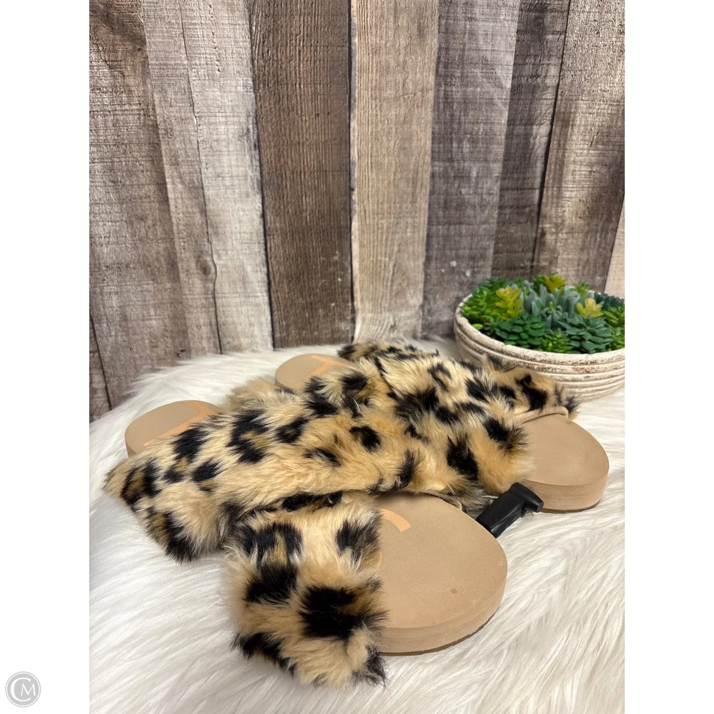 Sandals Flats By Toms In Leopard Print, Size: 10