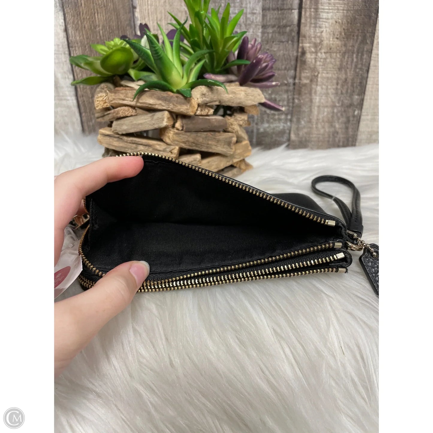 Wristlet Designer By Coach, Size: Medium