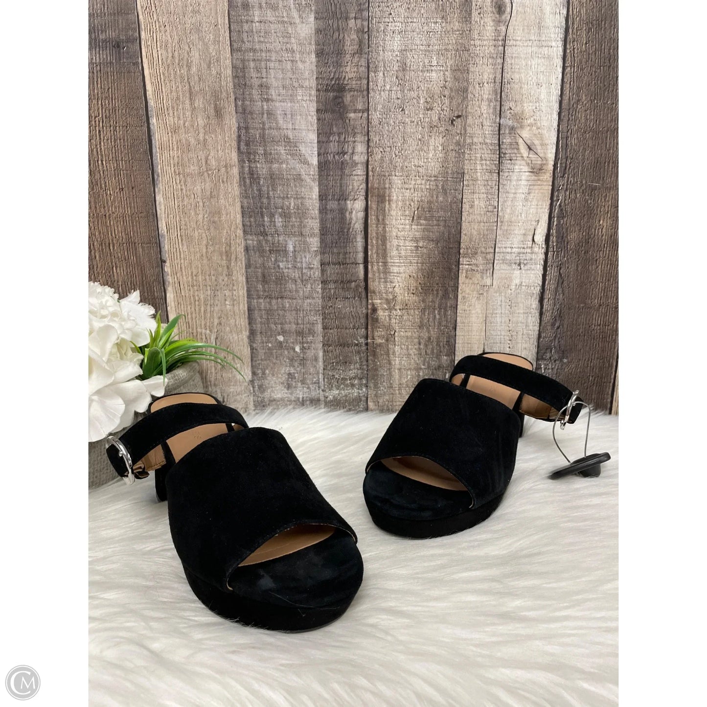 Sandals Heels Block By Aerosoles In Black, Size: 7