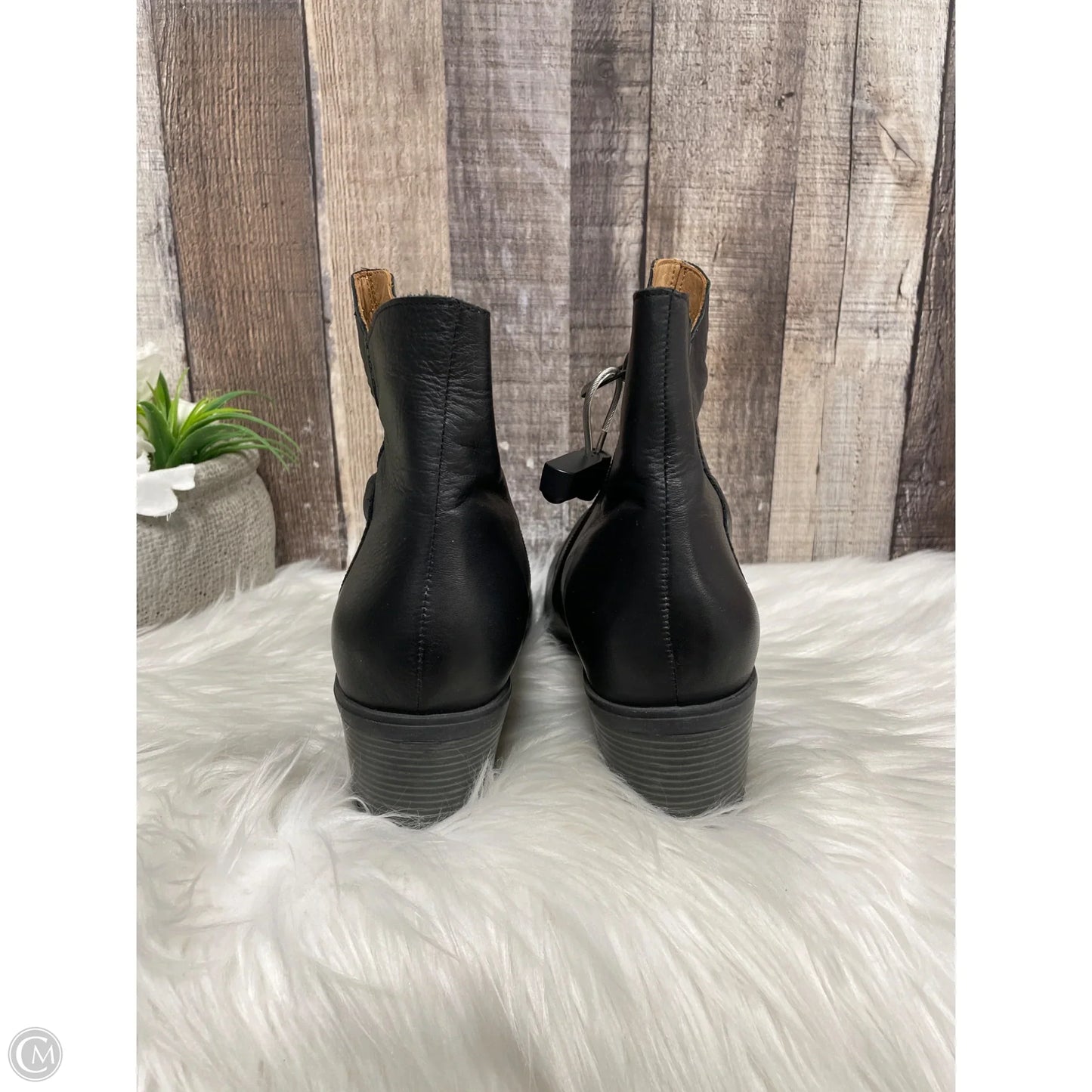 Boots Ankle Heels By Spring Step In Black, Size: 10