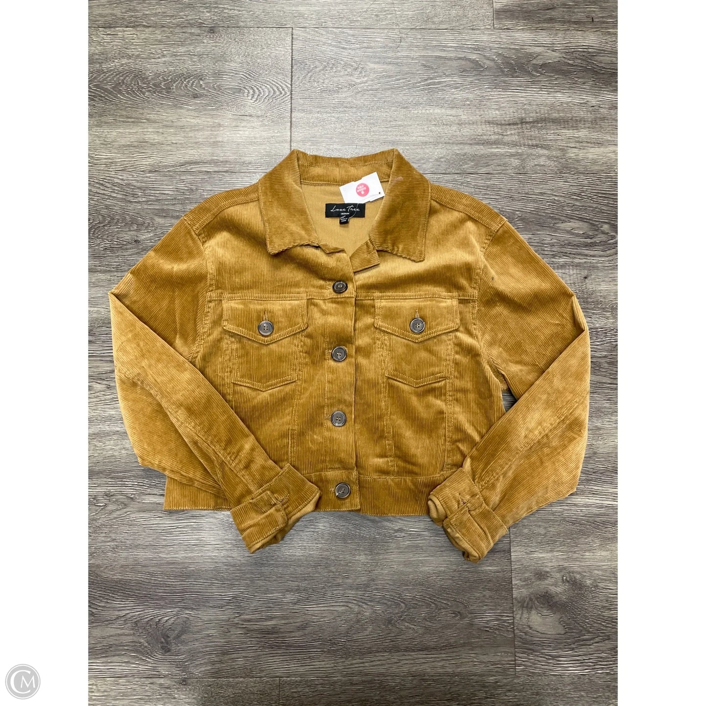 Jacket Moto By Love Tree In Tan, Size: M